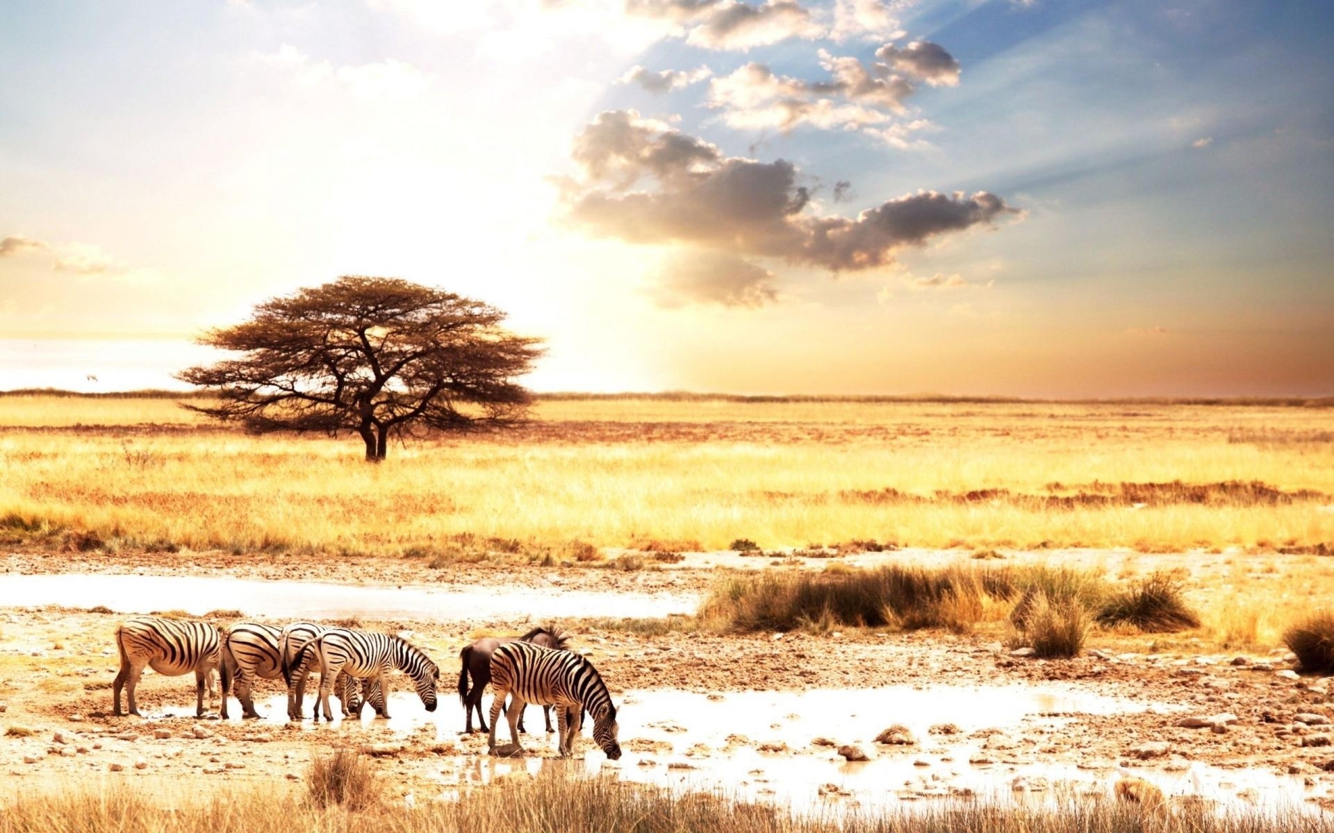 Africa, HD wallpapers, Beautiful landscapes, African continent, 1920x1200 HD Desktop
