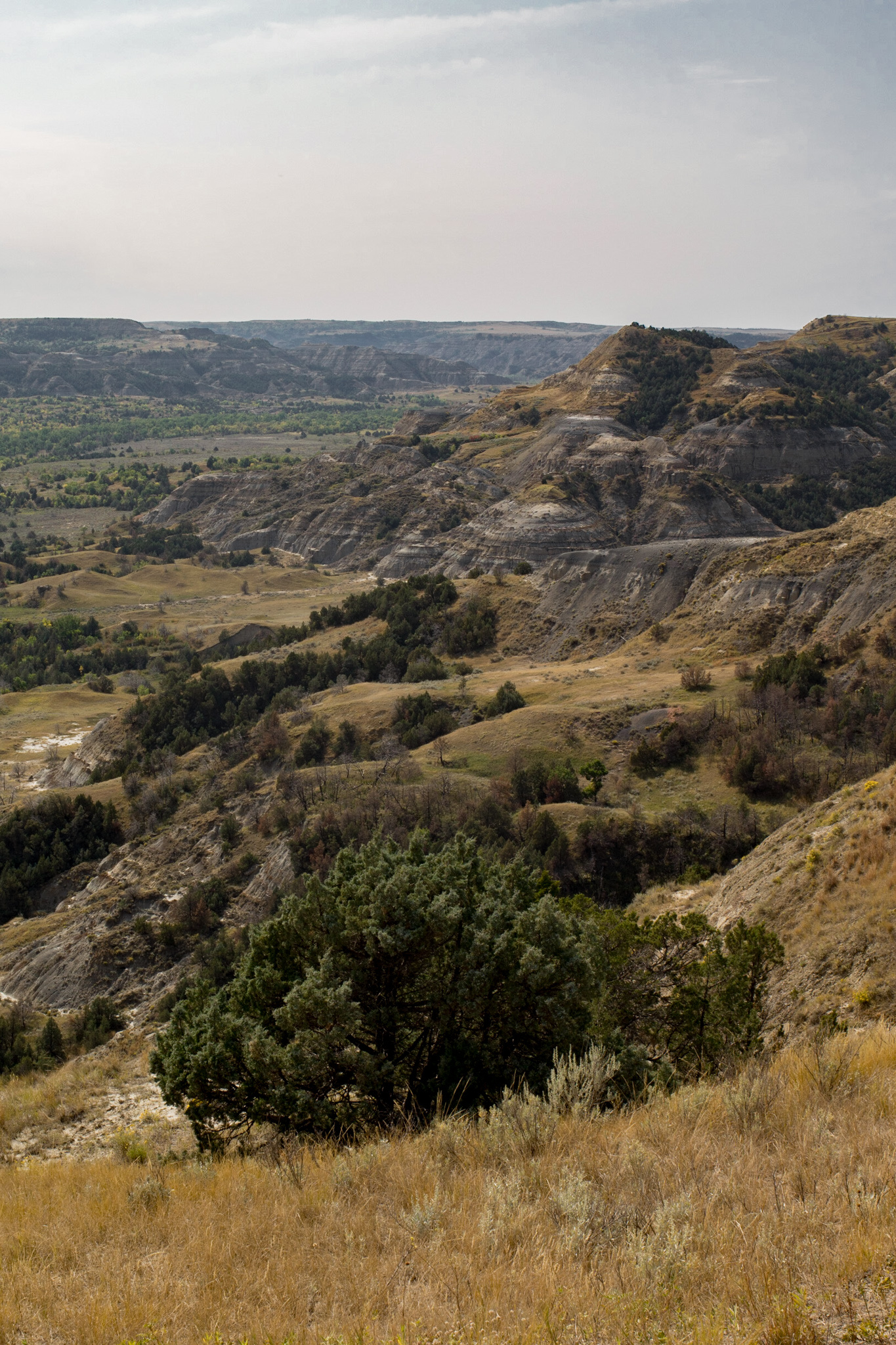 Theodore Roosevelt National Park guide, Park's highlights, Awayist's recommendations, Nature's wonders, 1370x2050 HD Handy