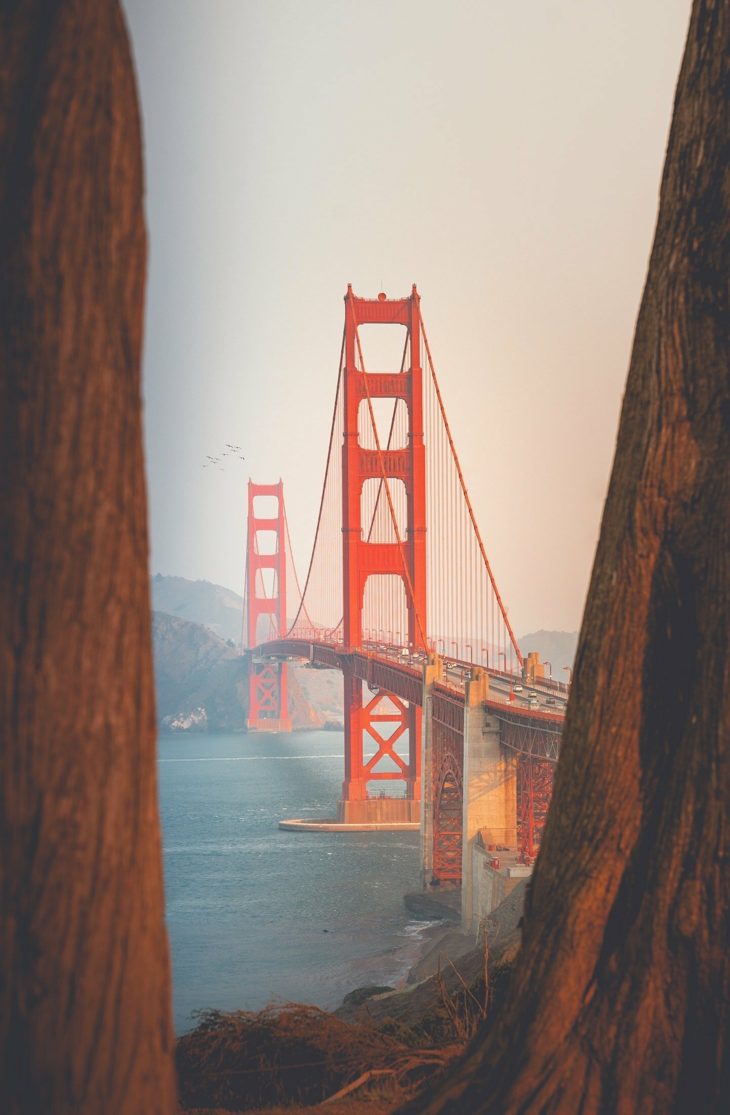 San Francisco: The famous suspension bridge that spans SF Bay. 1450x2210 HD Background.