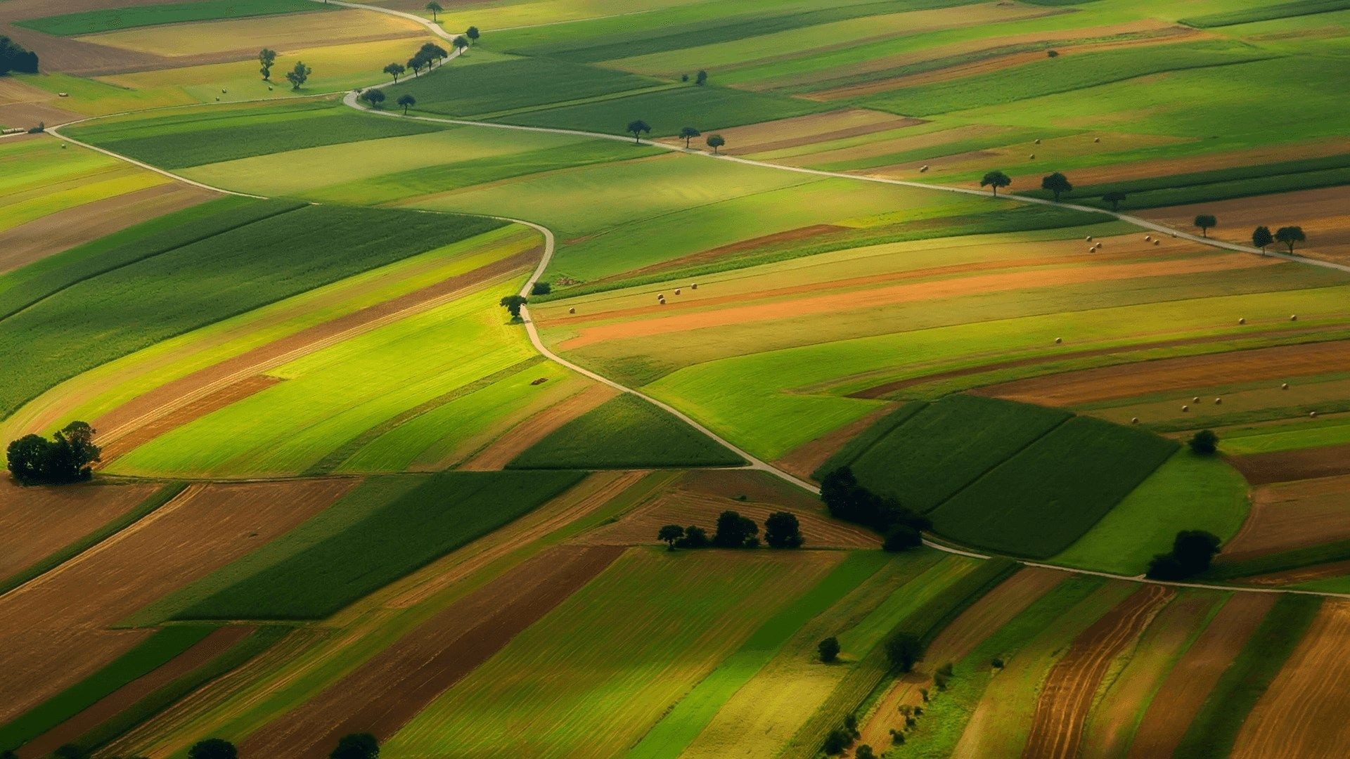 Farm: Aerial view, Farming lands, Agriculture. 1920x1080 Full HD Wallpaper.