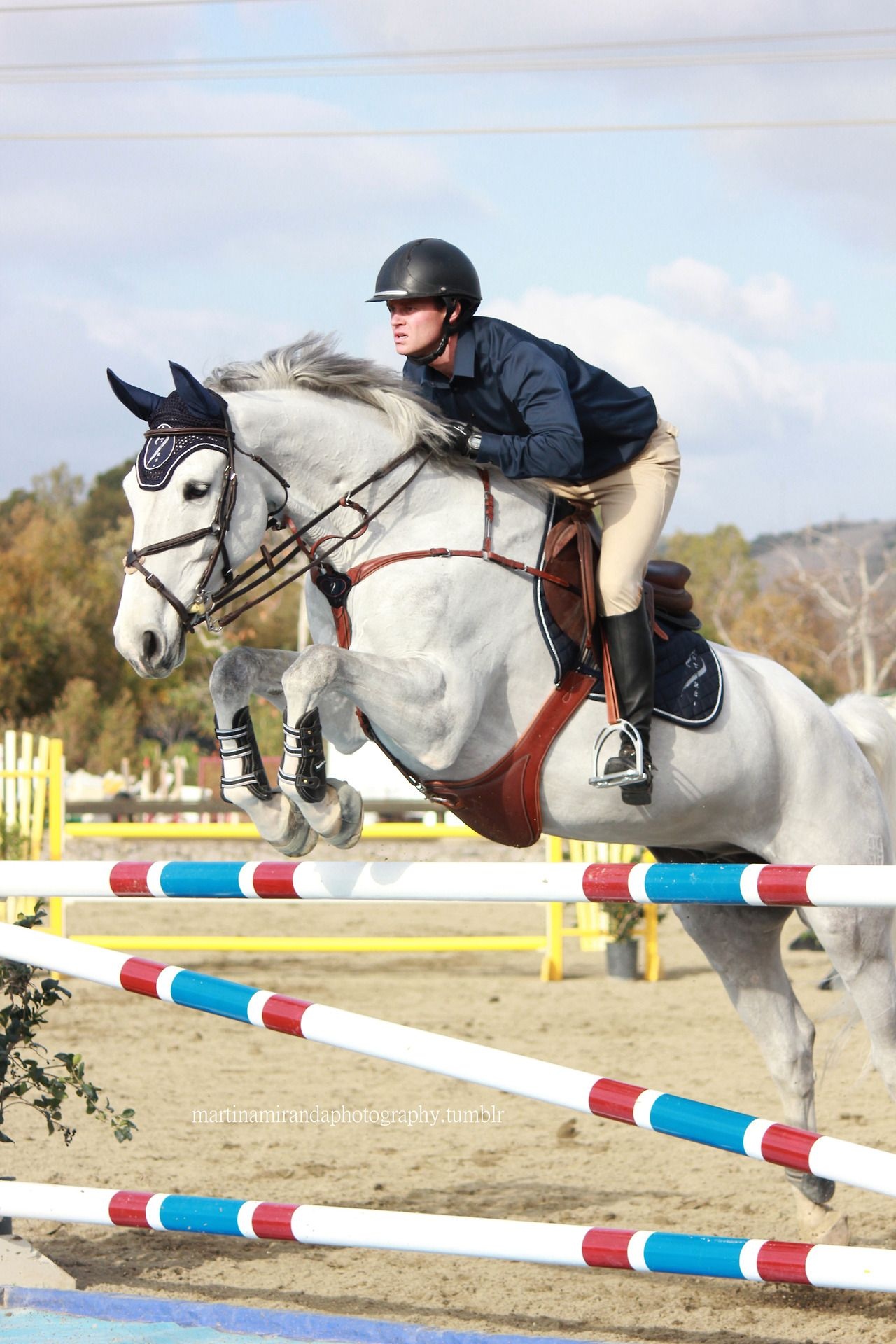 Eventing: Show jumping training performed by a professional jockey, Recreational horse riding. 1280x1920 HD Background.