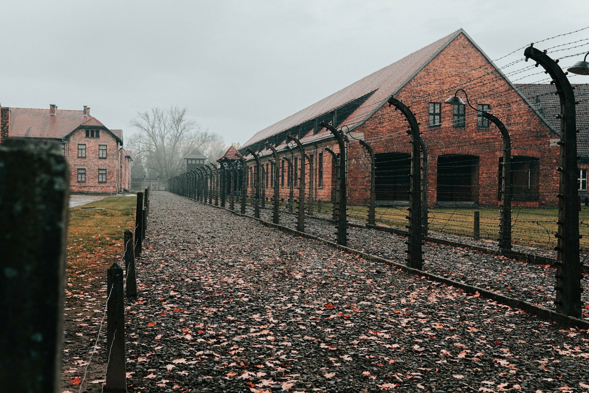Auschwitz, Historical site, Remembrance and reflection, Dark chapter in history, 1920x1280 HD Desktop