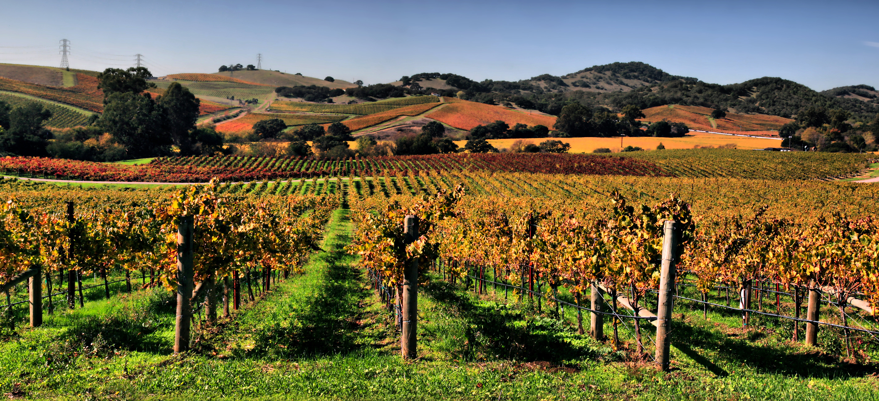 California wineries wallpaper, Wine country beauty, Scenic vineyards, Explore and travel, 2850x1300 Dual Screen Desktop
