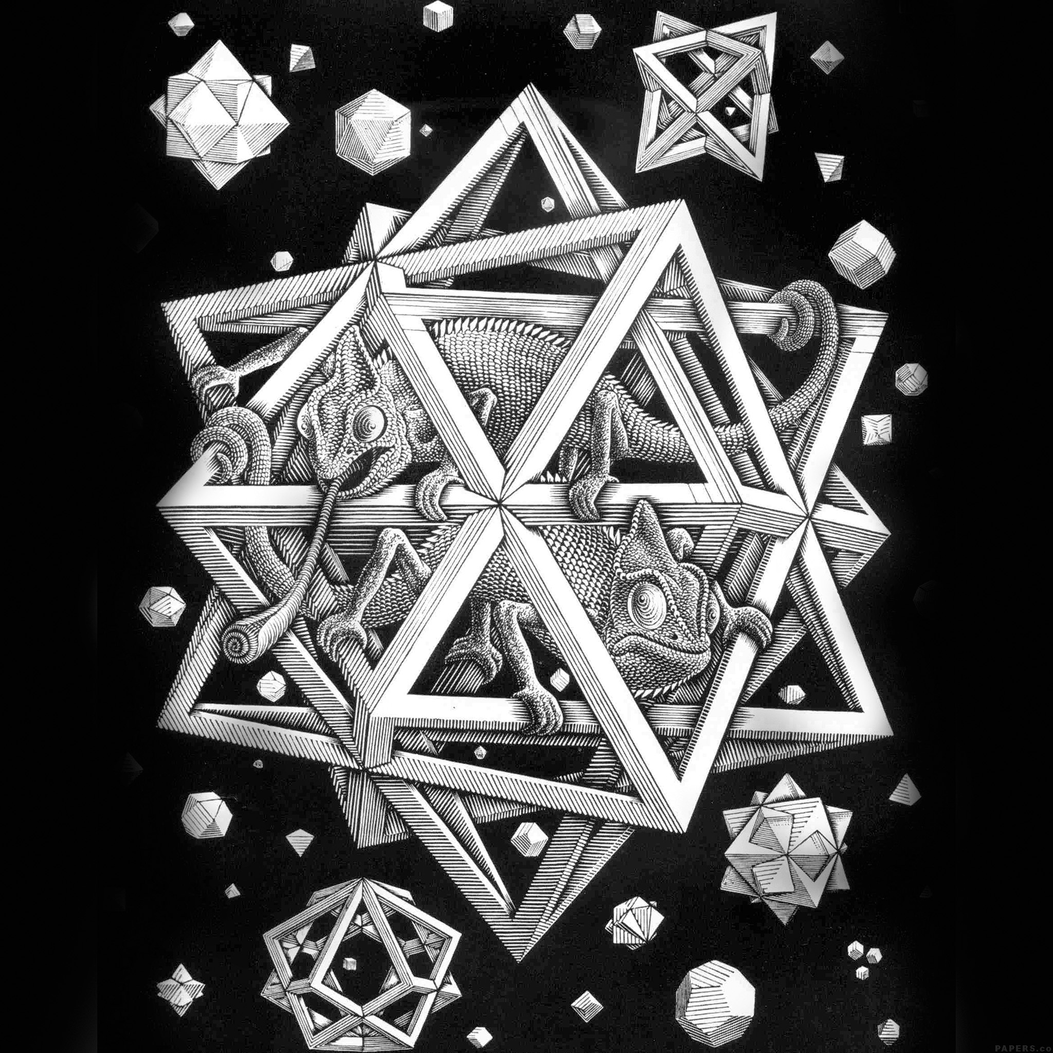 M.C. Escher, Other artist, Space art, Lizard illustration, 2050x2050 HD Phone