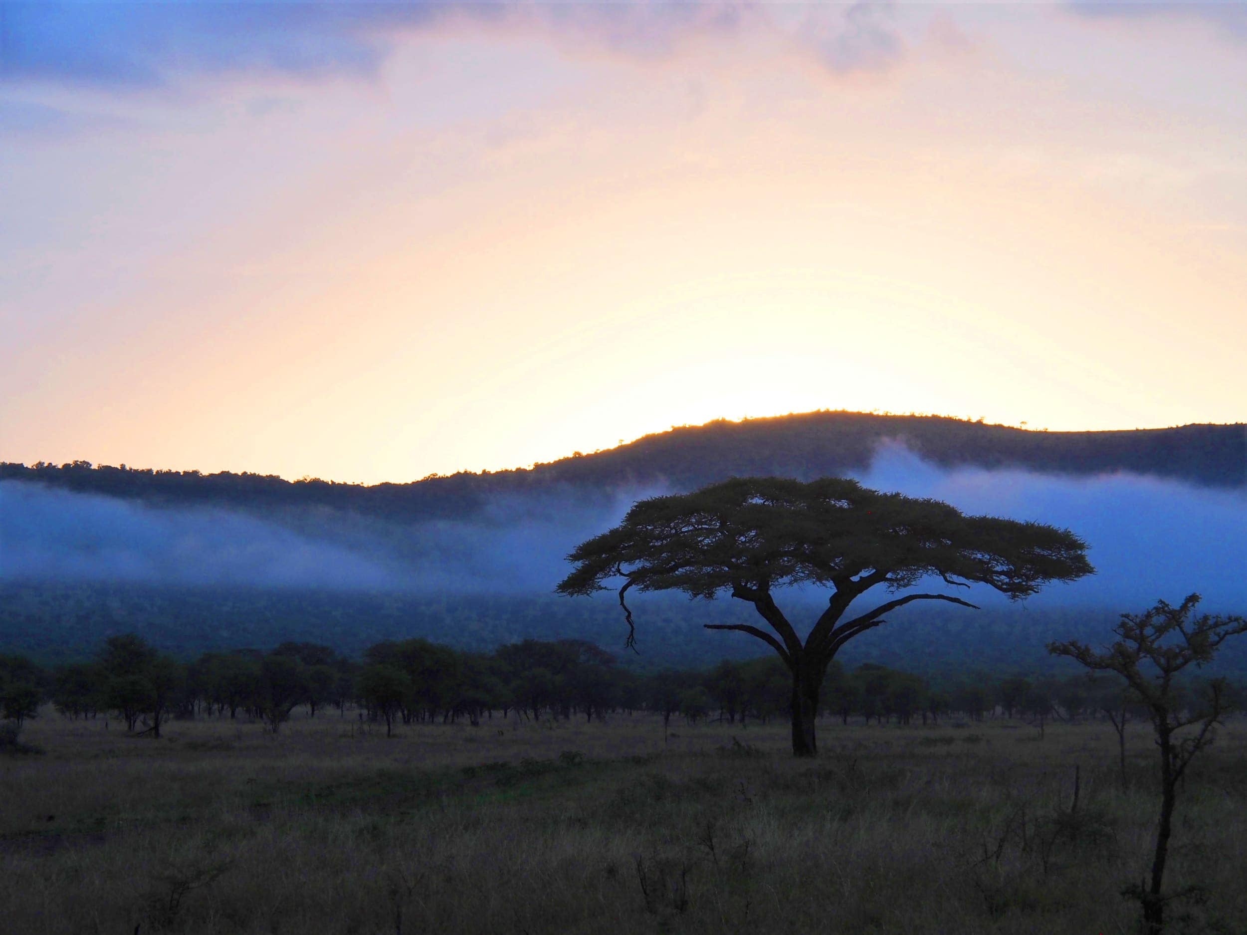 Unvergesslicher Besuch in der Serengeti, 2500x1880 HD Desktop