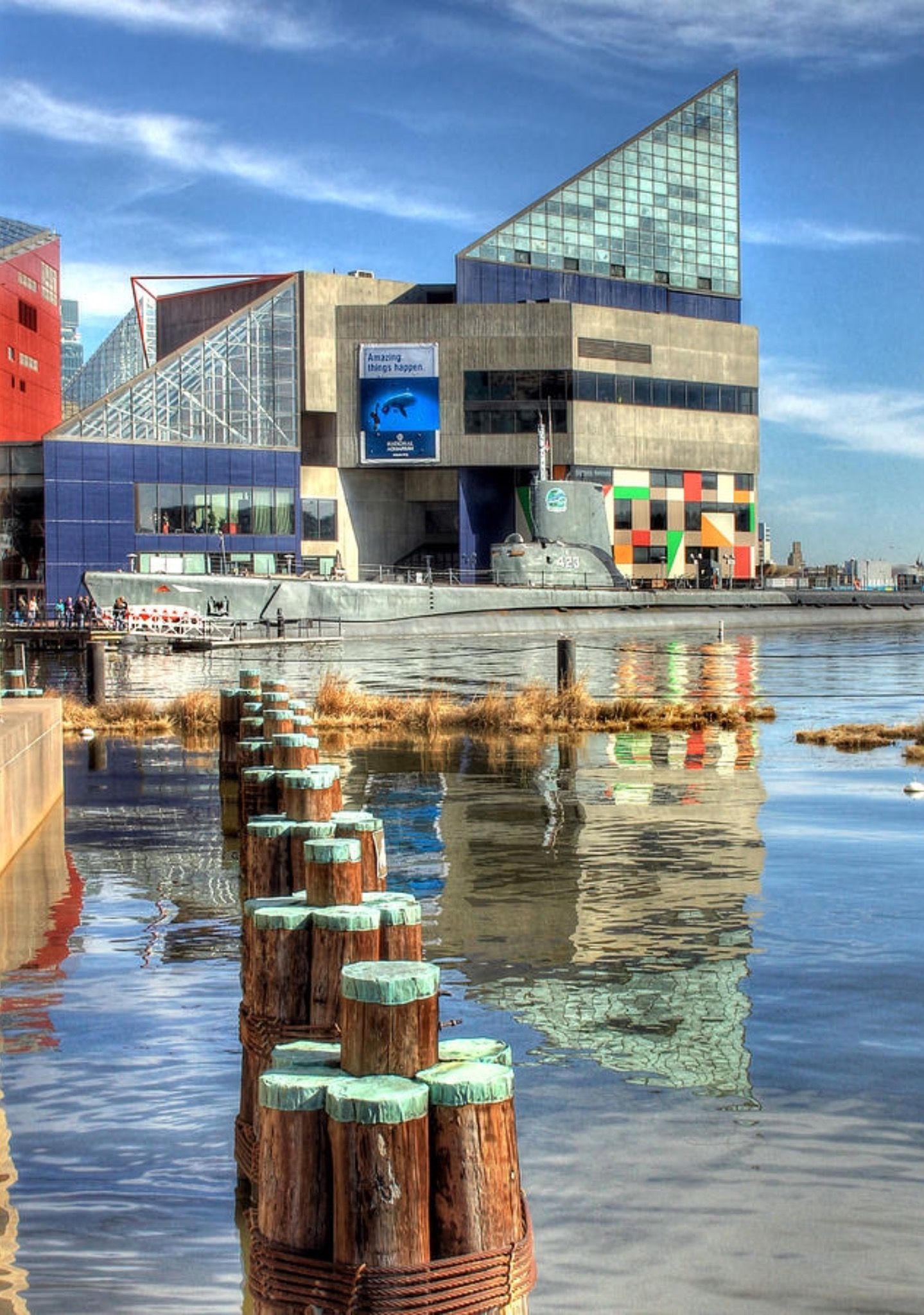 National Aquarium (Baltimore), Reflections of Baltimore, Art print, Marine life, 1440x2050 HD Phone