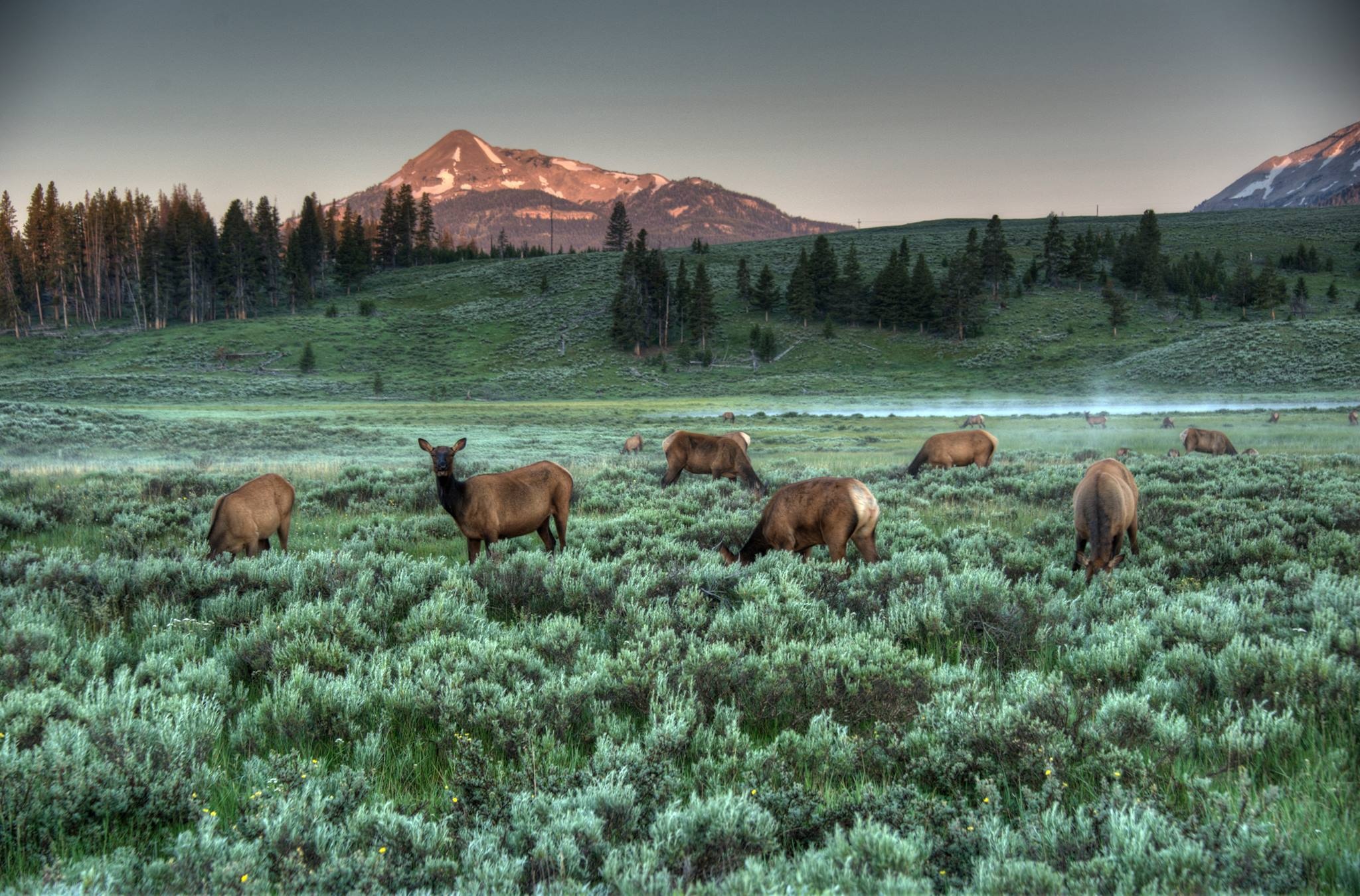 Yellowstone National Park, Desktop wallpapers, Natural beauty, Scenic wonder, 2050x1350 HD Desktop