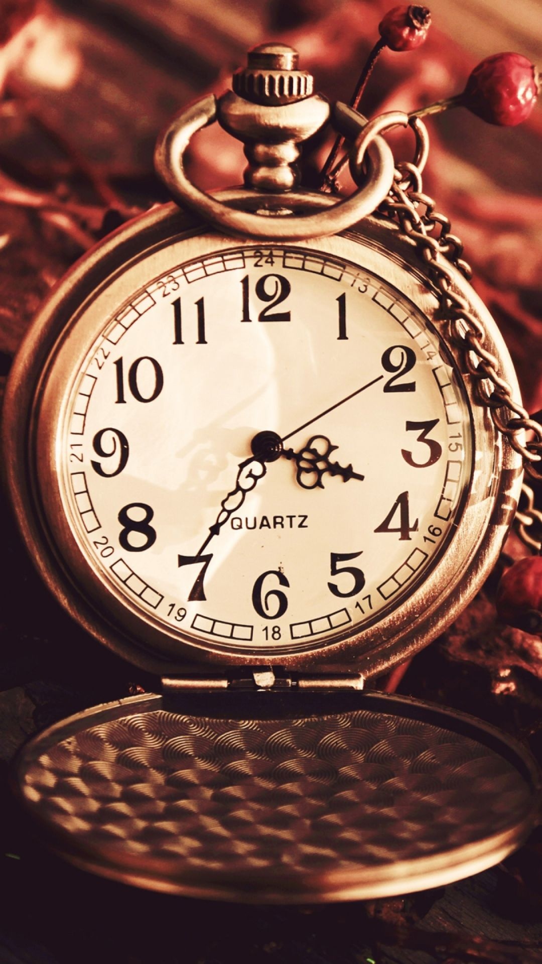 Vintage watch, Autumn berries, Dry chain, Dial, 1080x1920 Full HD Phone