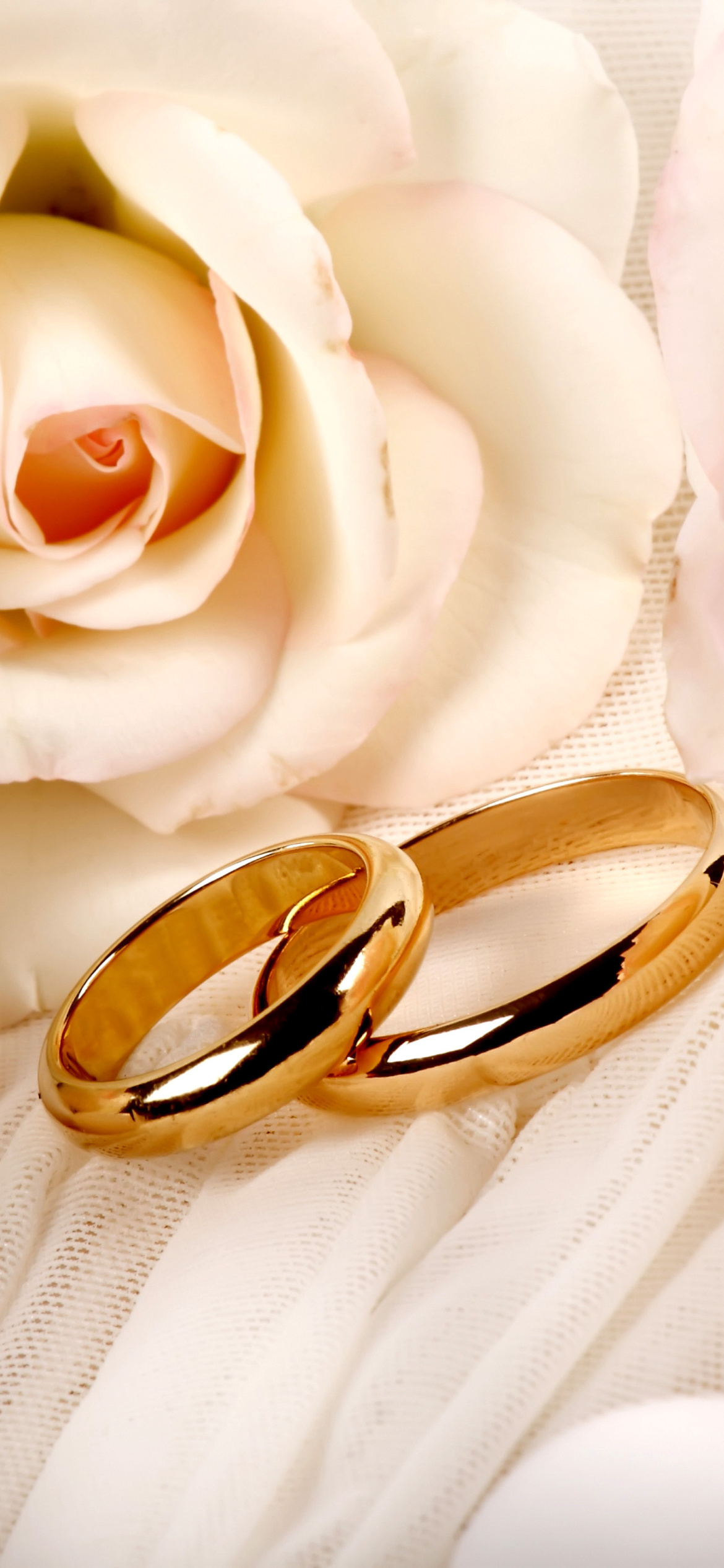 Roses and wedding rings, iPhone wallpapers, Romantic atmosphere, Love and beauty, 1170x2540 HD Phone