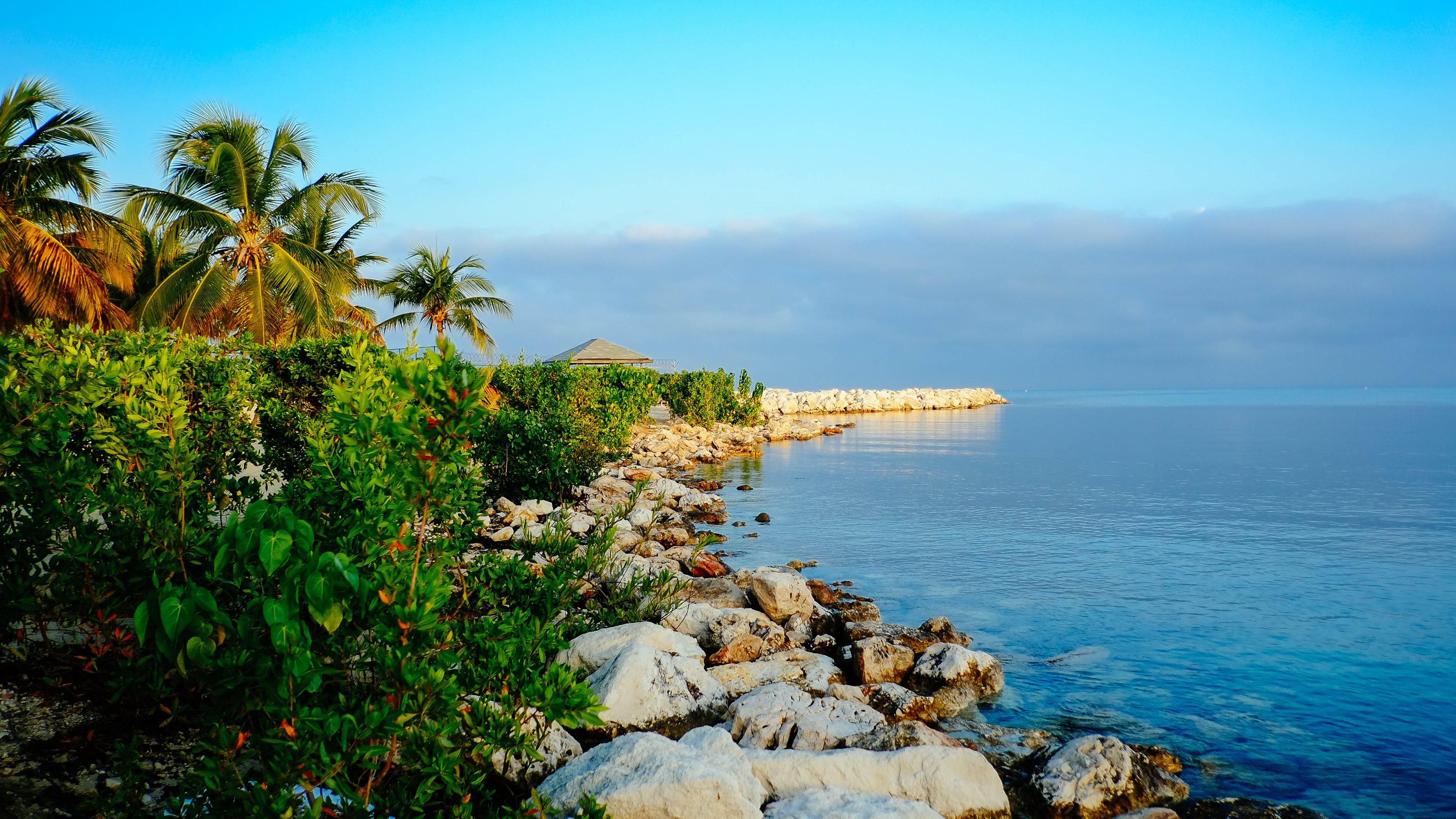 Seascape: The tropical rocky beach, Palm trees and bushes, Blue-water sea. 3840x2160 4K Background.
