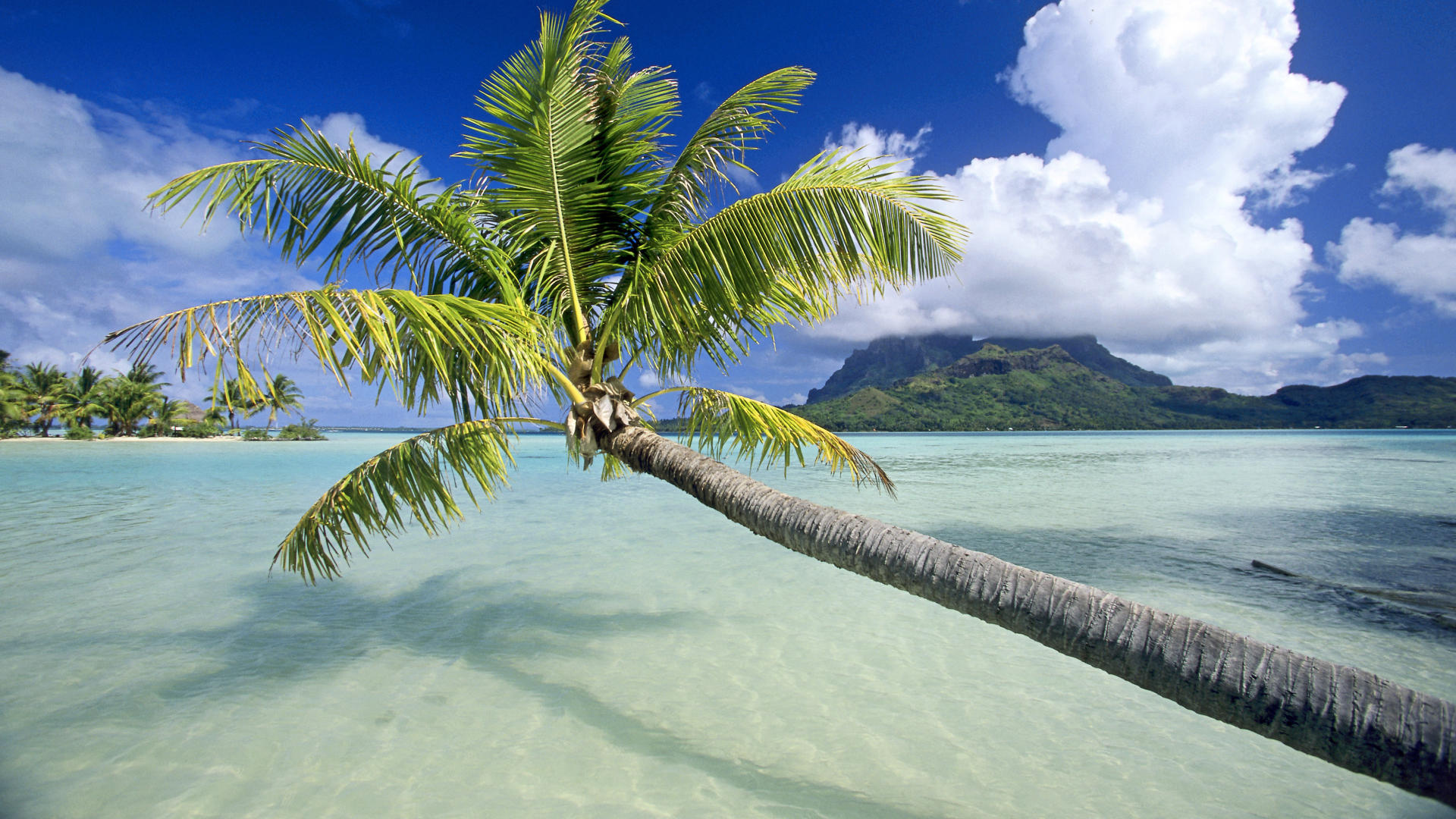 Tropical escape, Bora Bora, French Polynesia, Free high-quality wallpapers, 1920x1080 Full HD Desktop