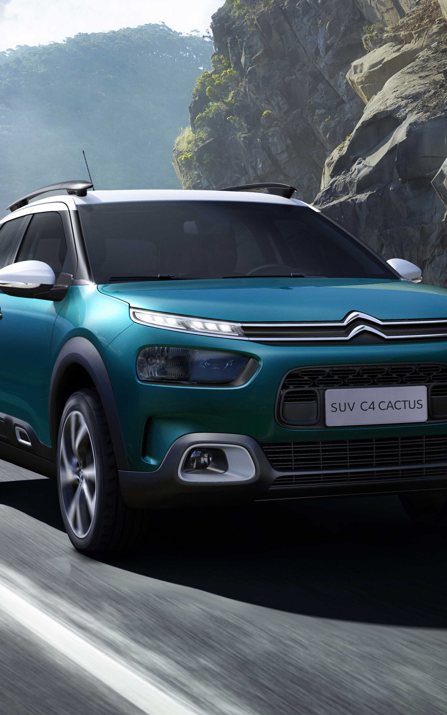 Citroen: 2018 car, On road, Model C4 Cactus SUV, French company. 1440x2310 HD Wallpaper.