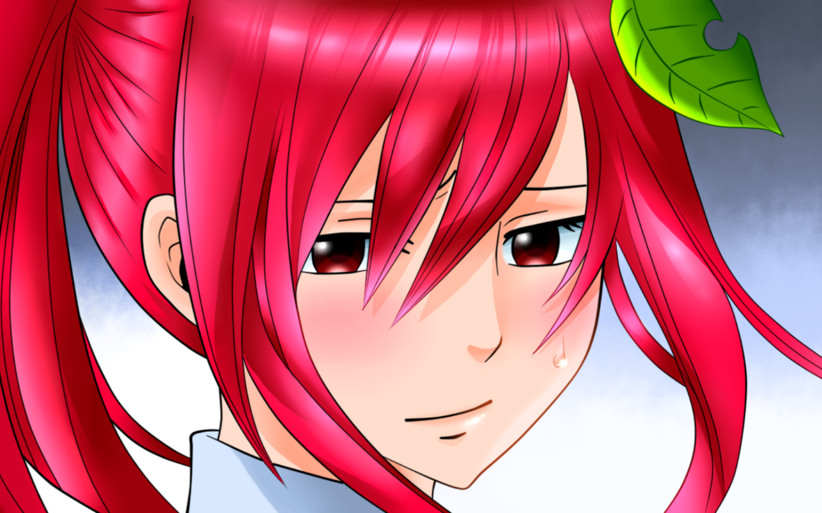 Erza Scarlet portrait, Fairy Tail pictures, Pink hair, Manga, 2880x1800 HD Desktop