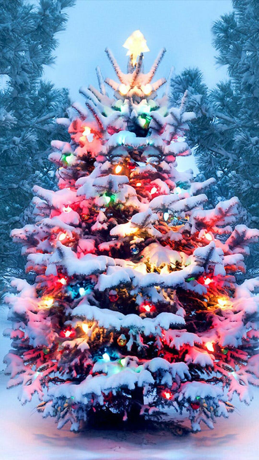 High-quality Christmas trees, Festive wallpapers, Holiday cheer, Top downloads, 1080x1920 Full HD Phone