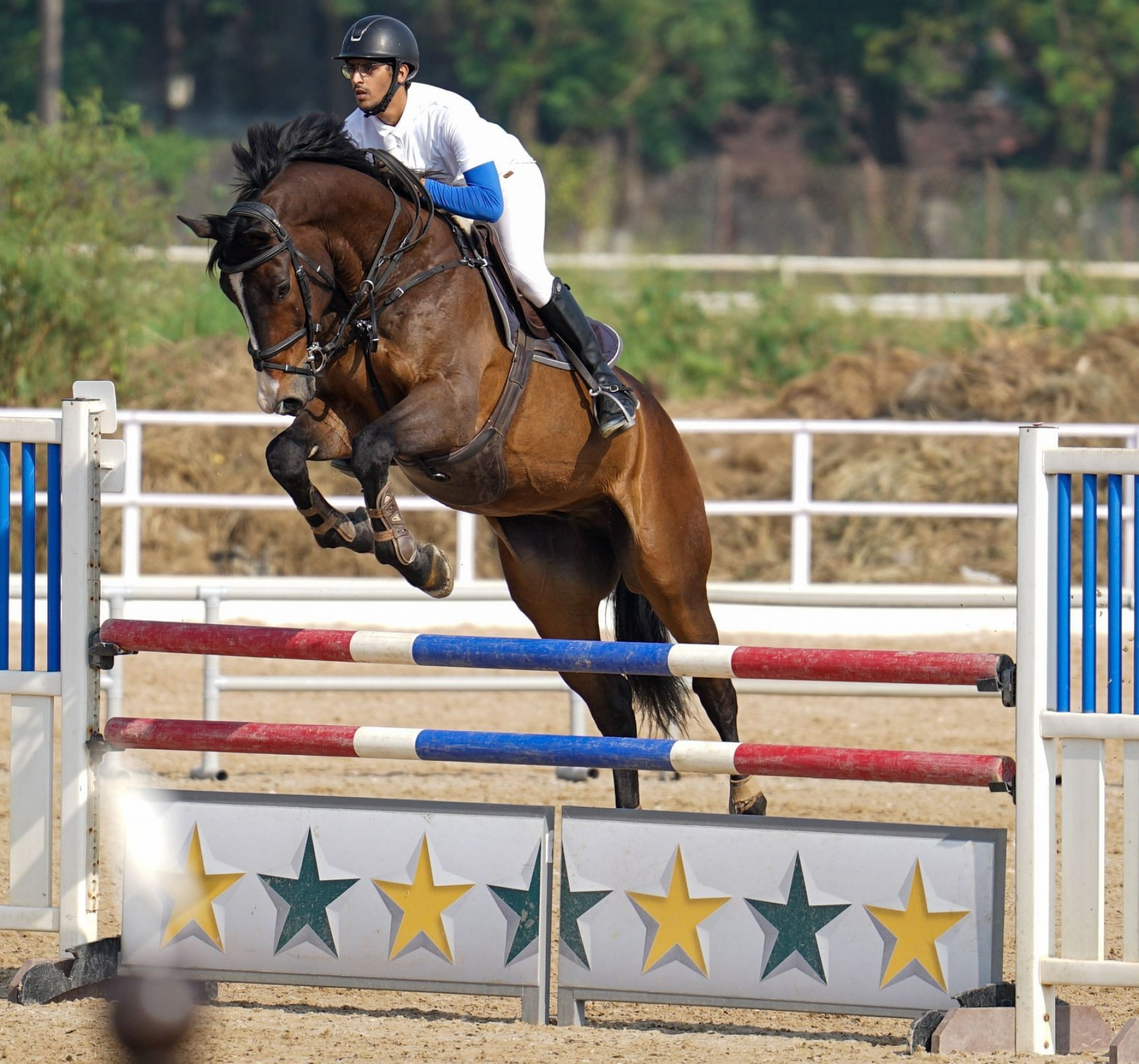 Equestrian Sports: Pranay Khare, An Indian show jumper, The 2022 Asian Games participant. 1920x1800 HD Background.