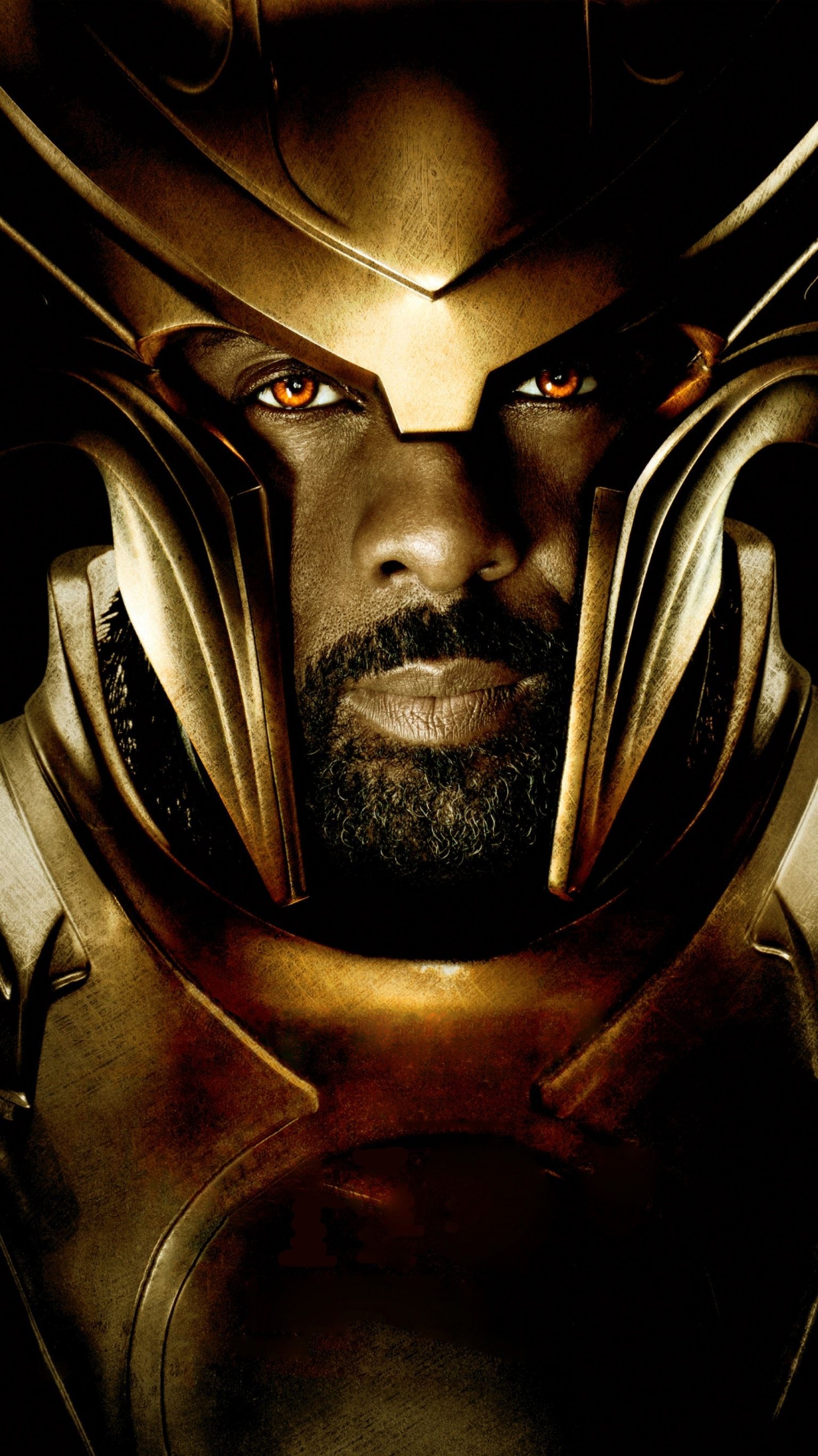 Idris Elba, Movies, Thor, Idris Elba Thor, 1540x2740 HD Handy