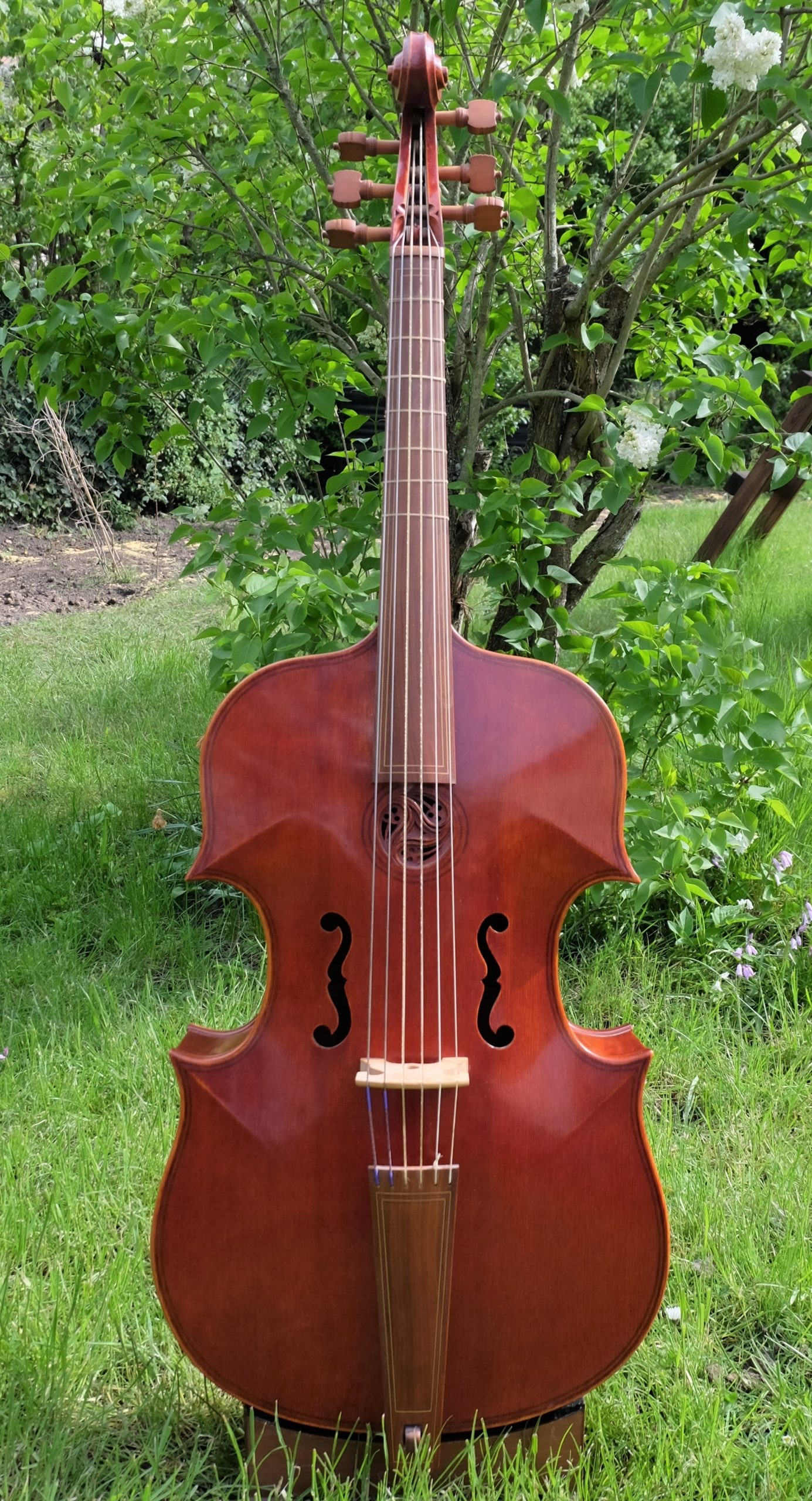 Viola da Gamba: String Musical Instrument Made By Dietrich Krause In 1985, Hollow Wooden Body And Fingerboard. 1390x2560 HD Background.