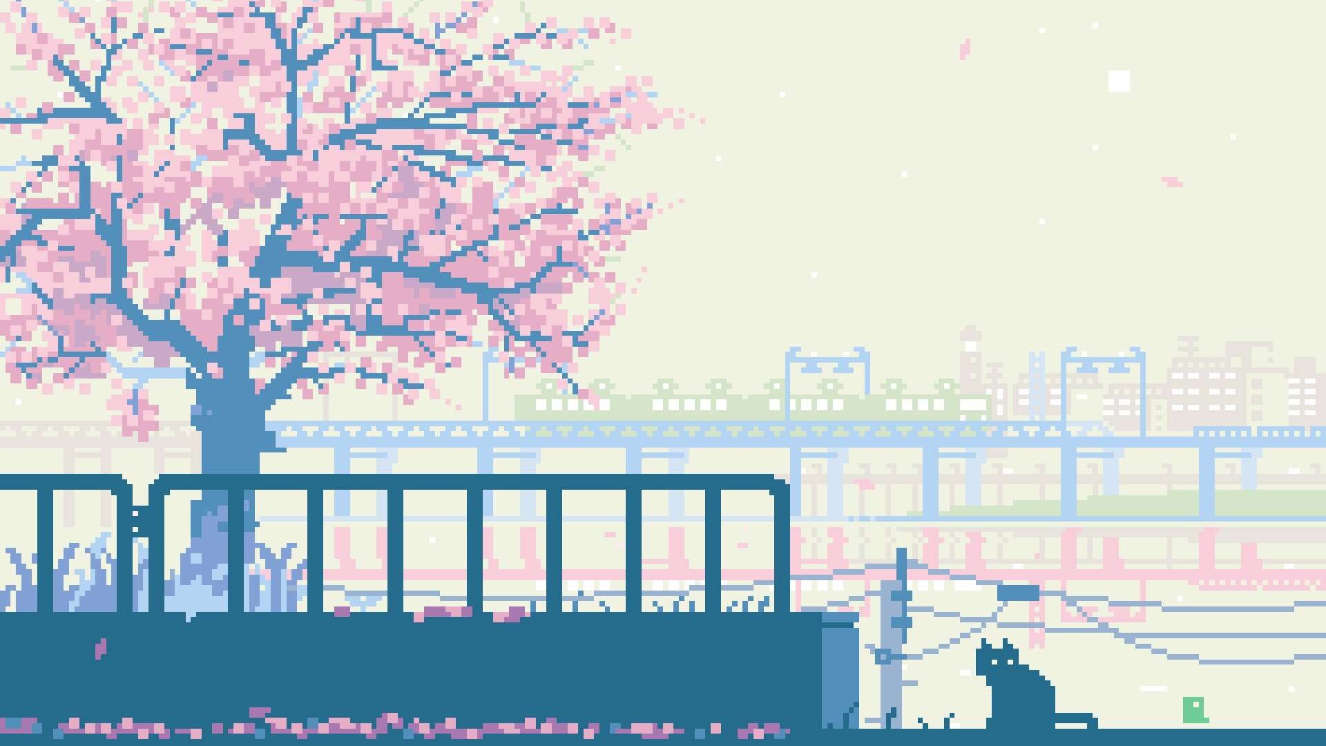 Girly: A cherry blossom, Japanese cherry, Sakura, Pink flowering tress, The city view. 1920x1080 Full HD Wallpaper.