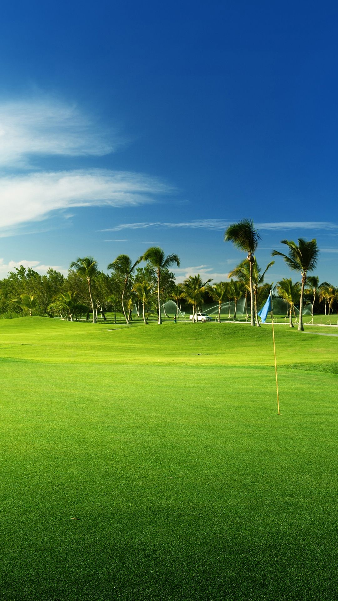 Golf Course: Par-3 field, Nine or eighteen holes all of which have a par of three strokes. 1080x1920 Full HD Wallpaper.