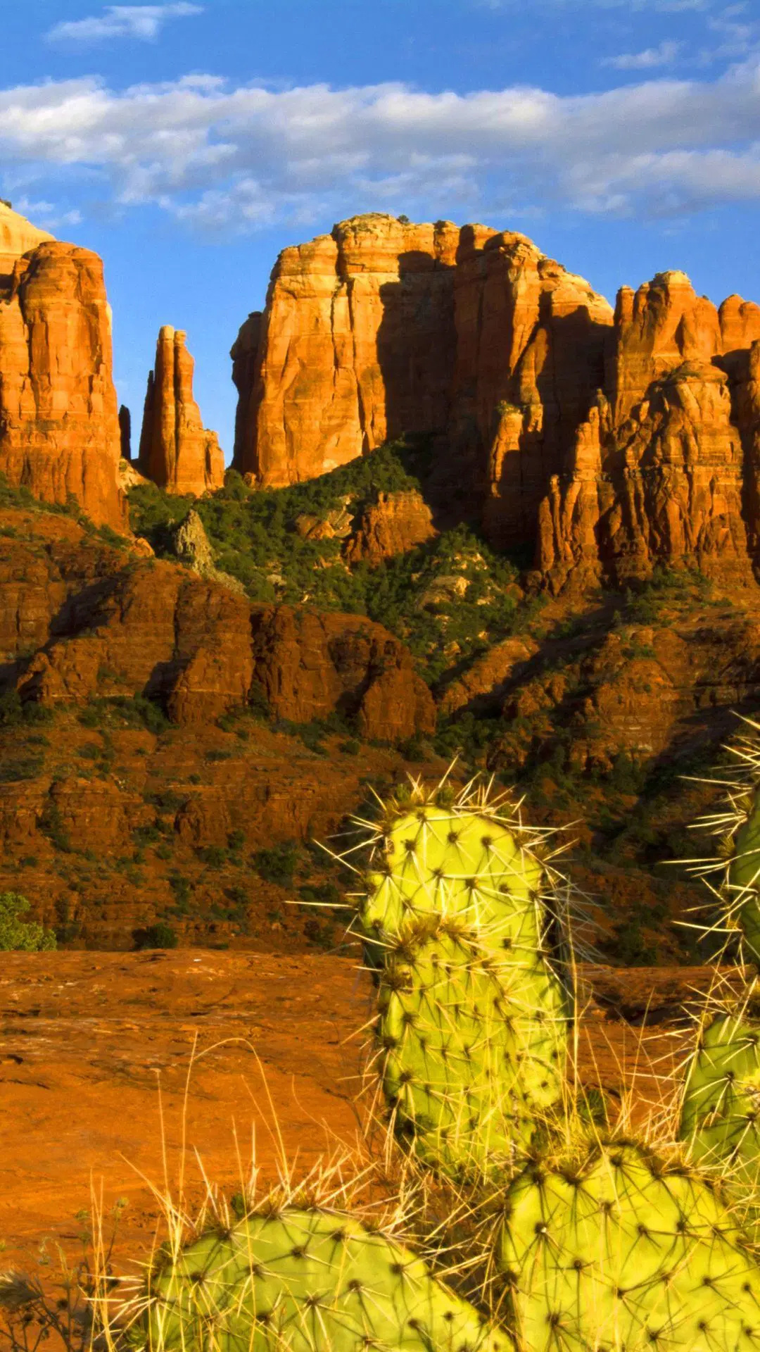 Arizona desert, Android, iPhone, Desktop wallpapers, 1080x1920 Full HD Phone