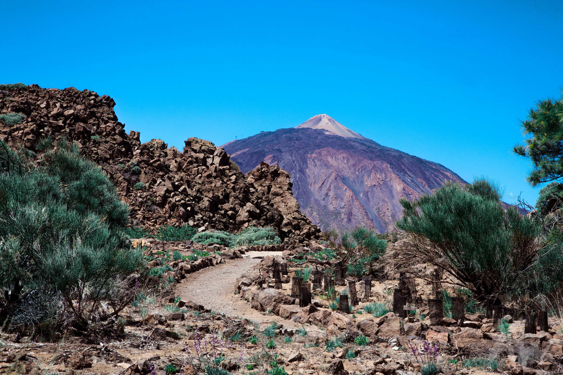 Teide National Park, Hike & explore, Tenerife, Natural wonder, 2180x1460 HD Desktop