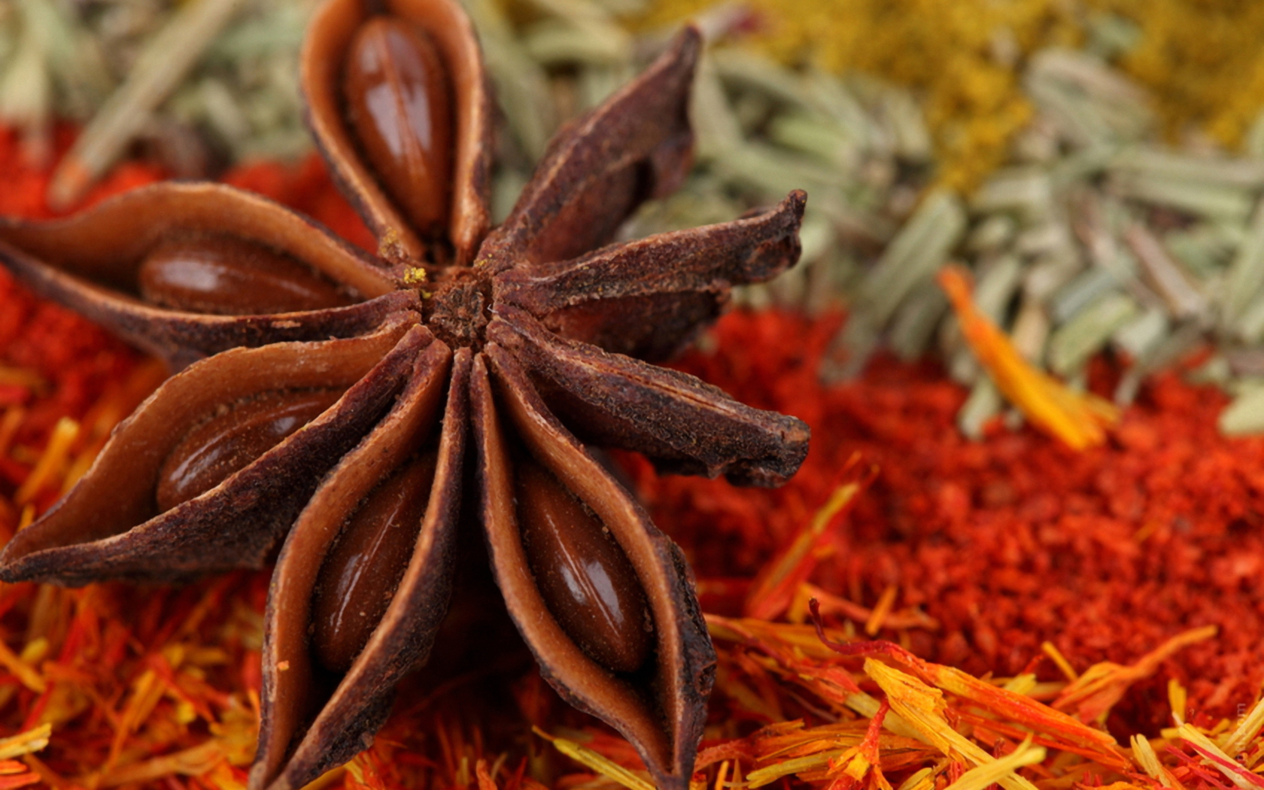 Herbs and spices, Culinary collection, Flavorful ingredients, Aromatic blend, 2560x1600 HD Desktop