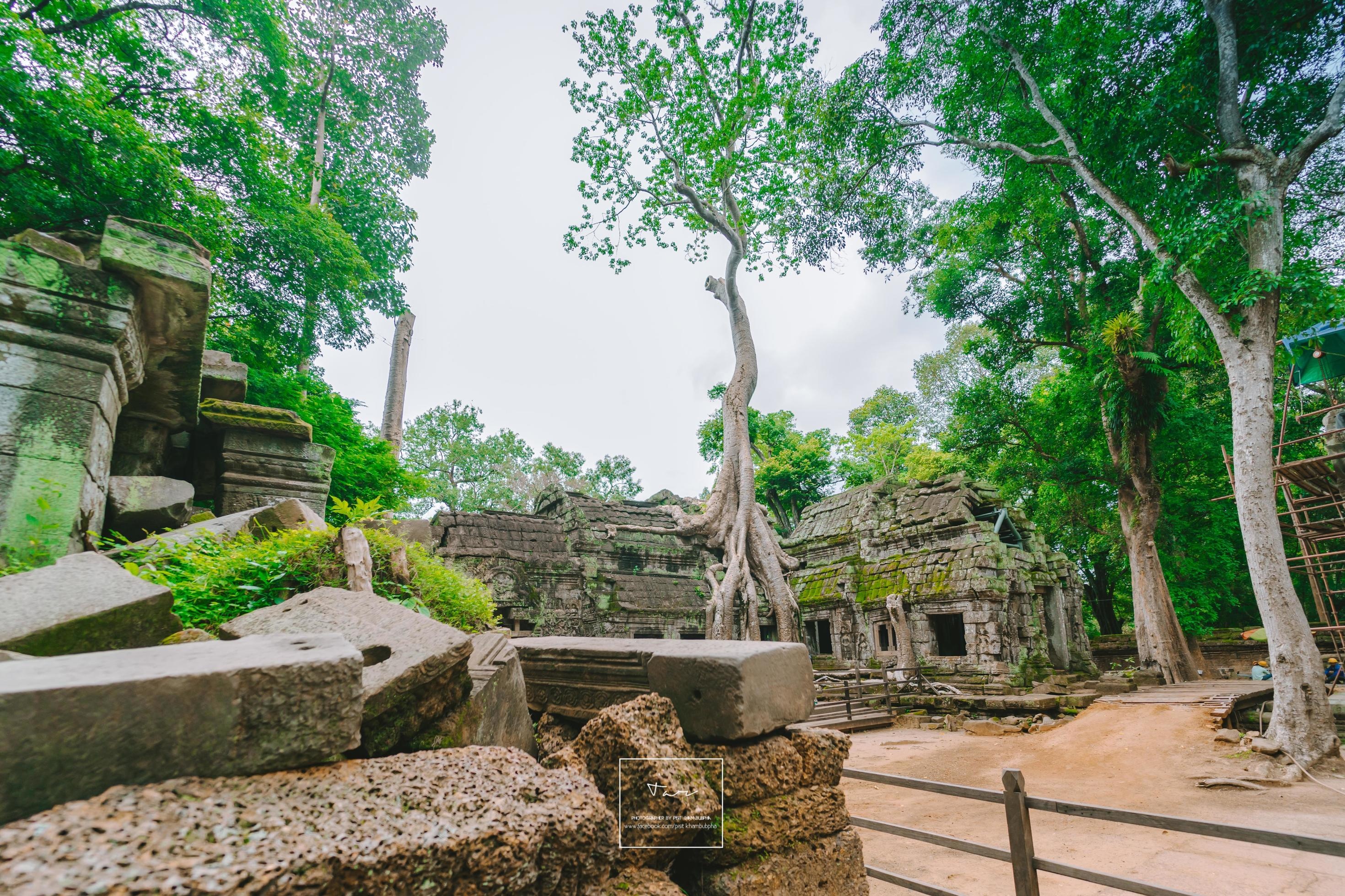 Angkor: Siem Reap, Ta Prohm temple, Overgrown beauty, Cambodian heritage, 2940x1960 HD Desktop