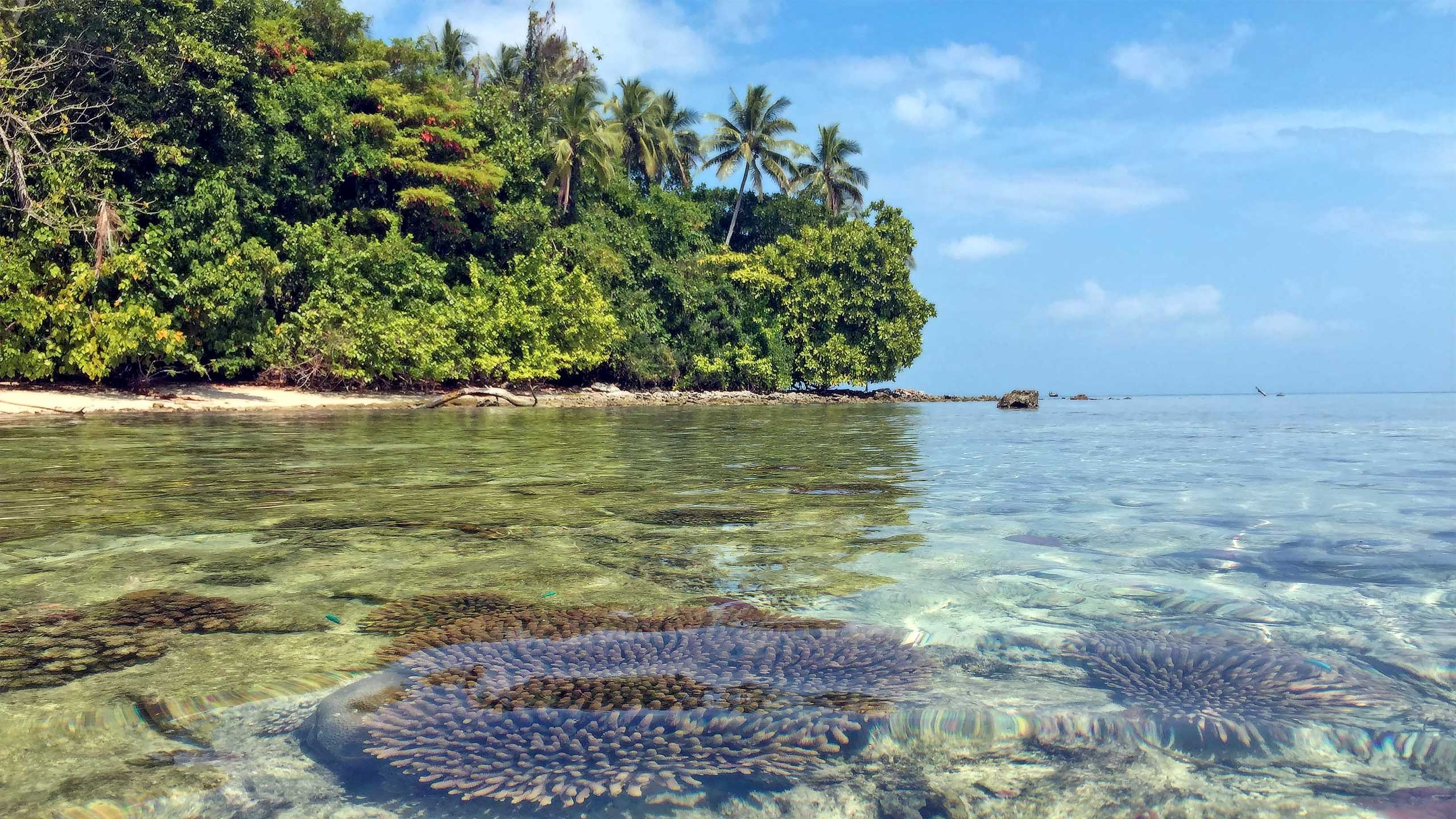 Tropical paradise, Fascinating past, Solomon Islands, Superyacht destination, 2560x1440 HD Desktop