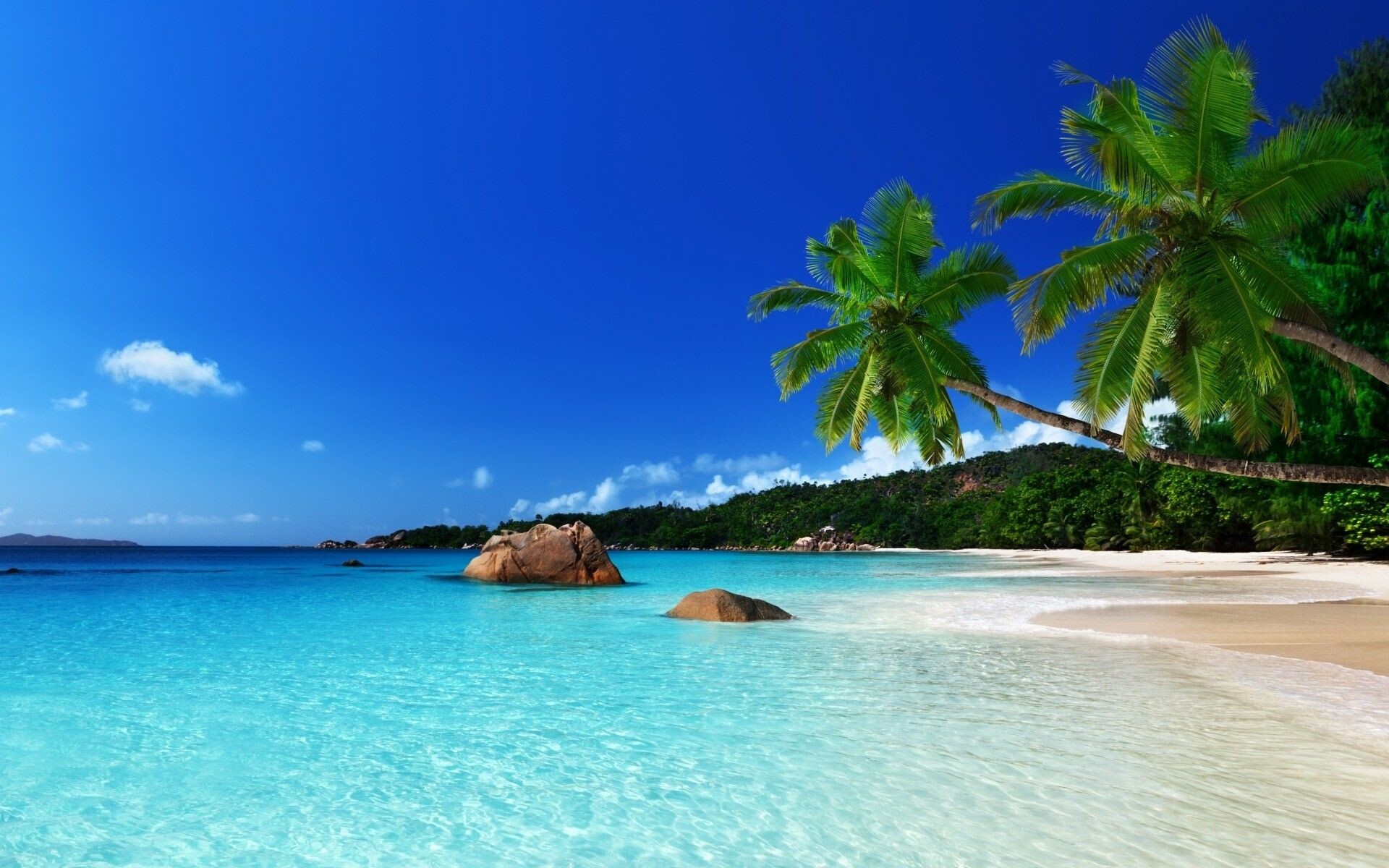 Island: Tropical paradise, Lagoon, Palm trees, Beach. 1920x1200 HD Wallpaper.