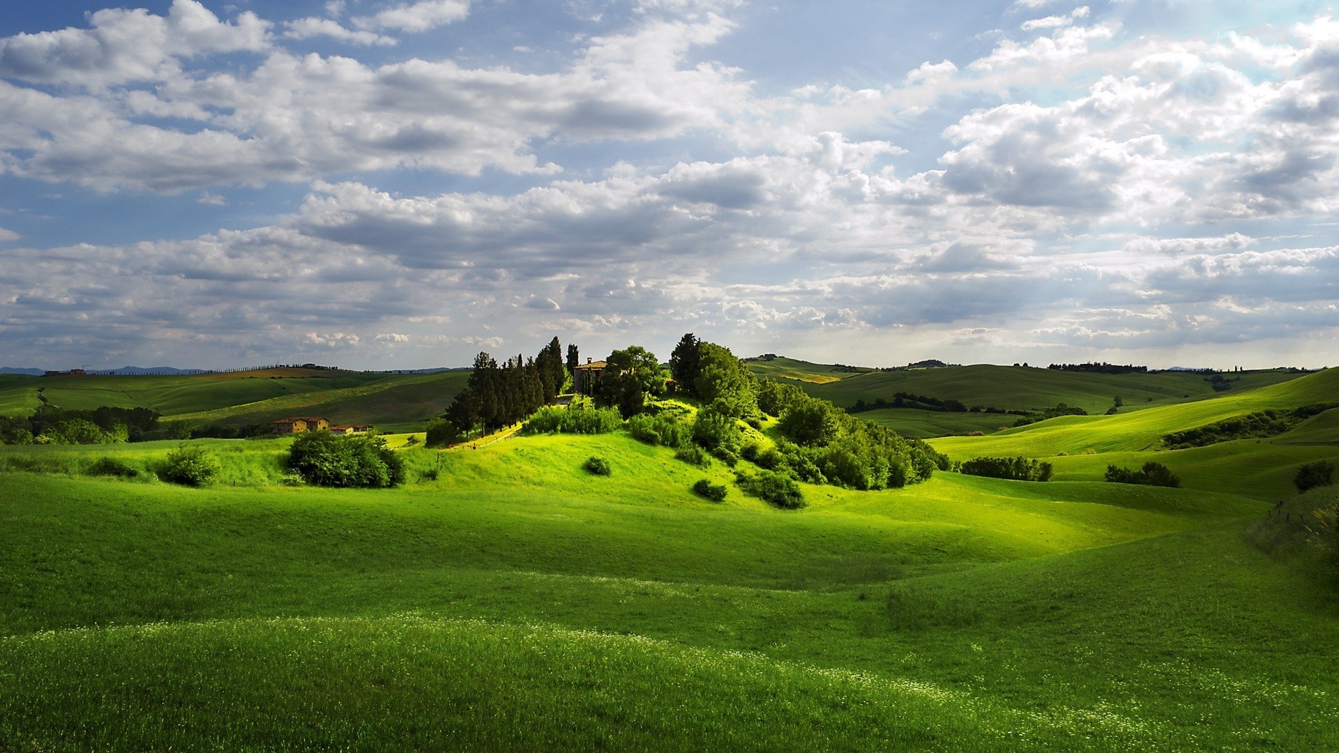 Nature grass field, Serene landscapes, Fresh meadow, Vibrant greens, 1920x1080 Full HD Desktop