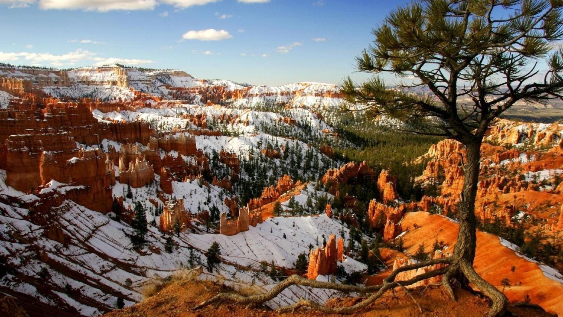 Bryce Canyon National Park, Free download wallpaper, High definition, Explore the collection, 1920x1080 Full HD Desktop