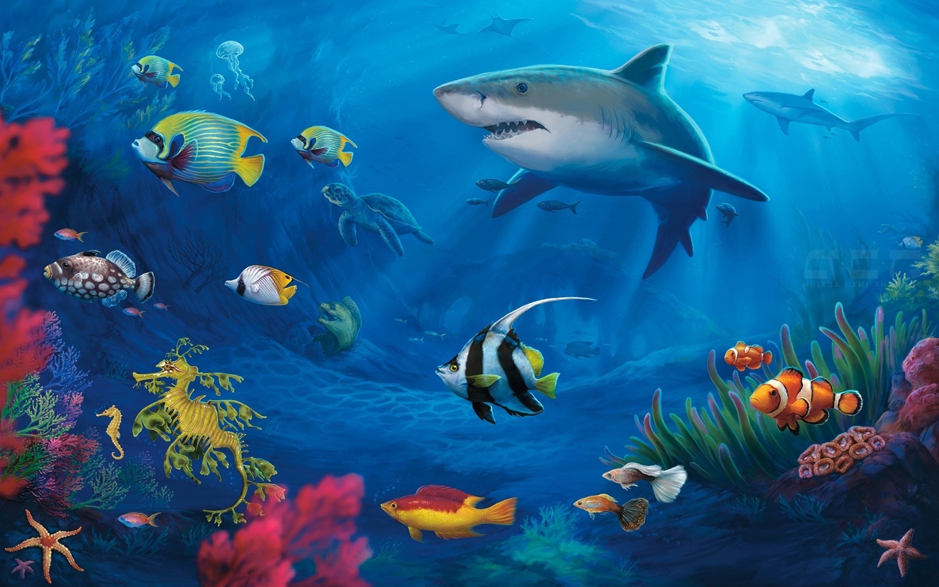 Beautiful fish backgrounds, Colorful aquatic life, Underwater beauty, Tropical marine creatures, 1920x1200 HD Desktop