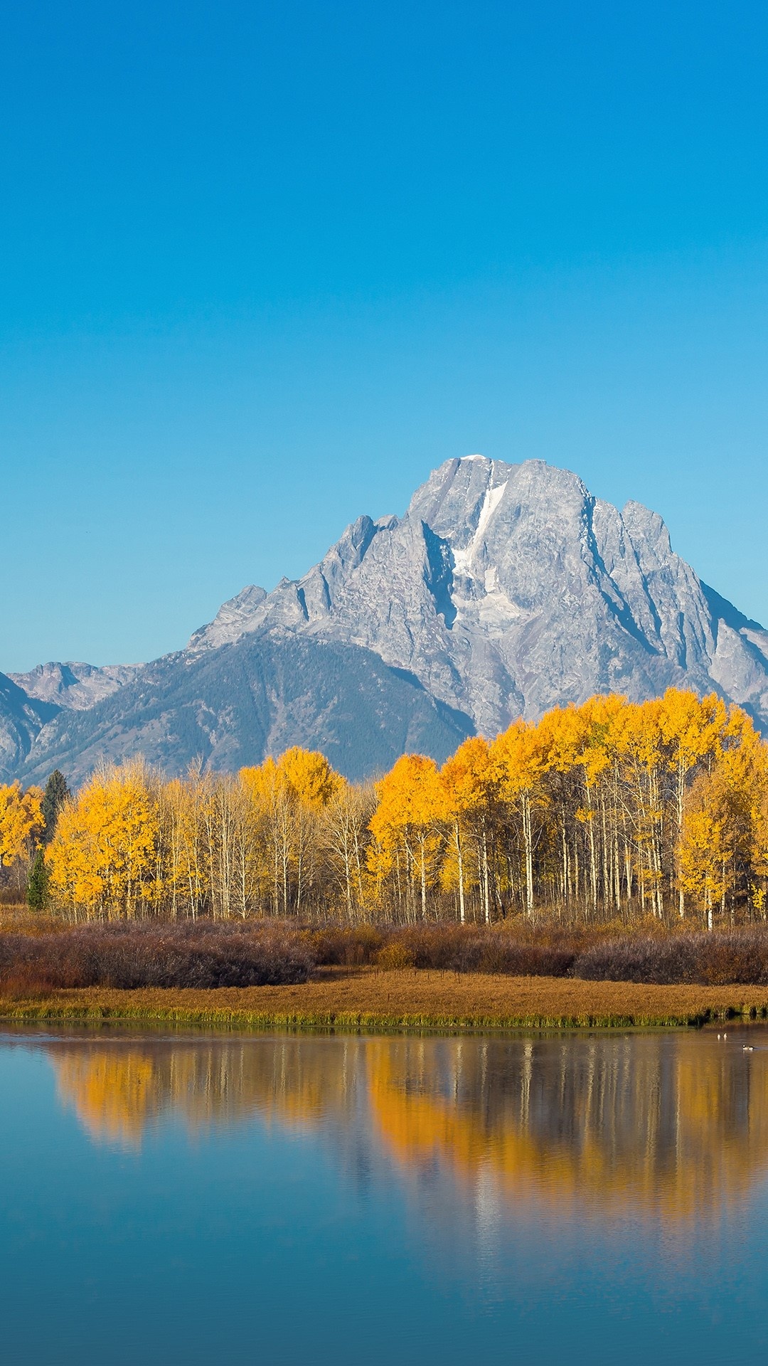 Grand Teton National Park, Autumn beauty, Wyoming, Spotlight images, 1080x1920 Full HD Phone