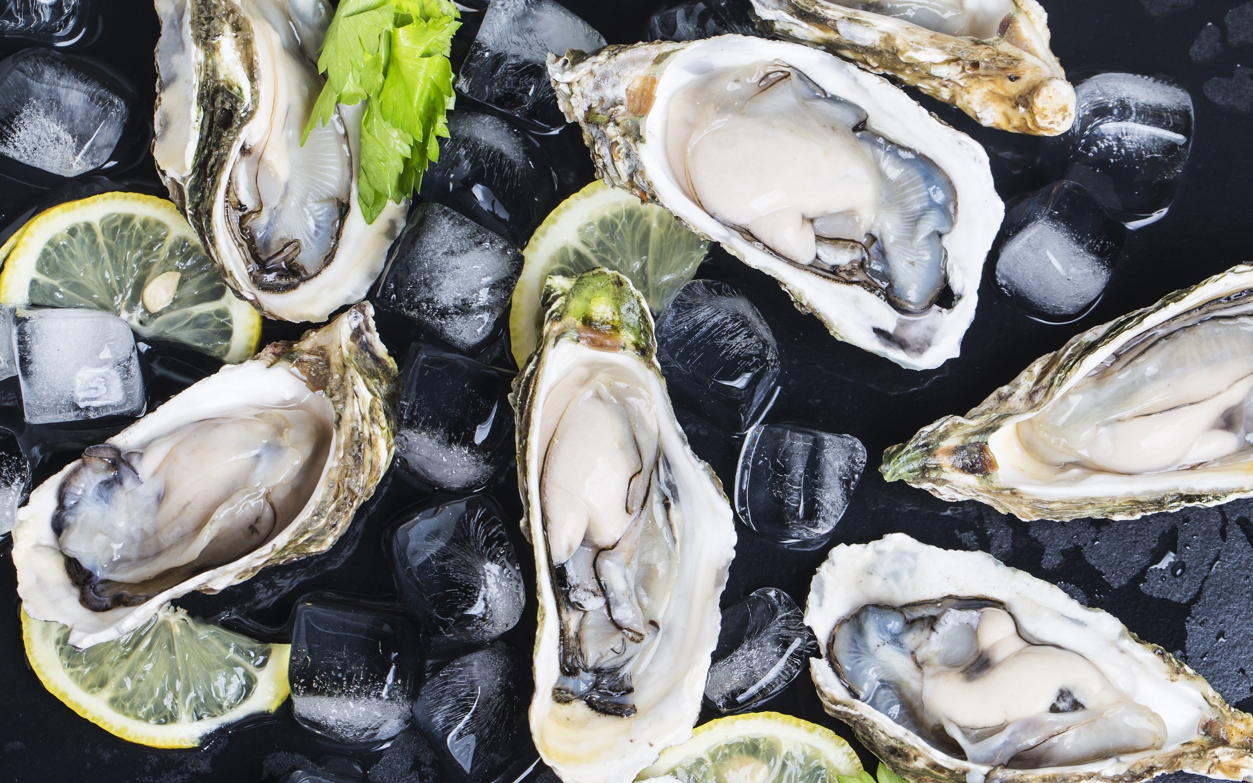 Oyster delicacy, Seafood wallpaper, Lemon ice twist, Gourmet dishes, 2560x1600 HD Desktop