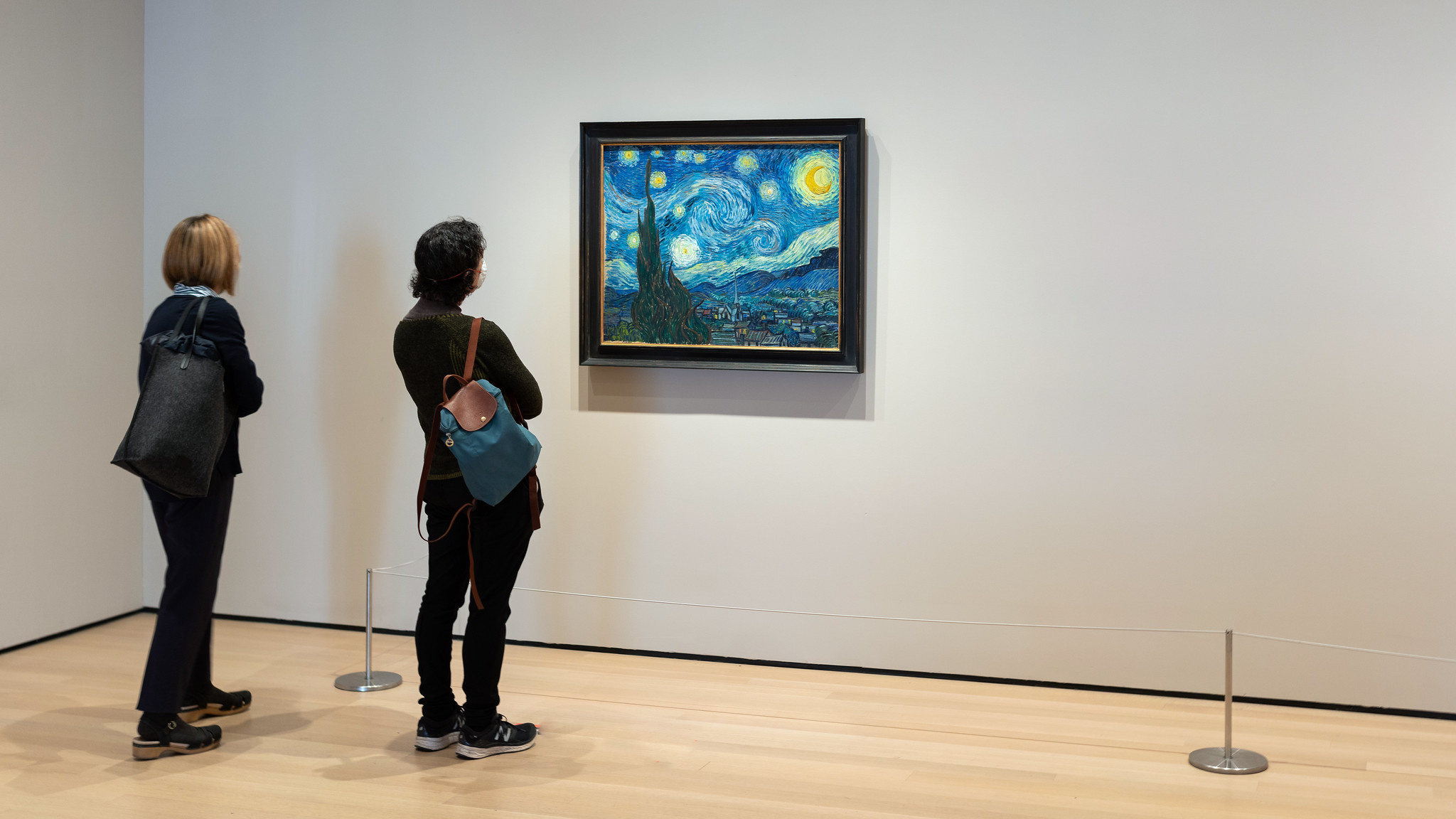 The Starry Night, Vincent van Gogh, art article, educational resource, 2050x1160 HD Desktop