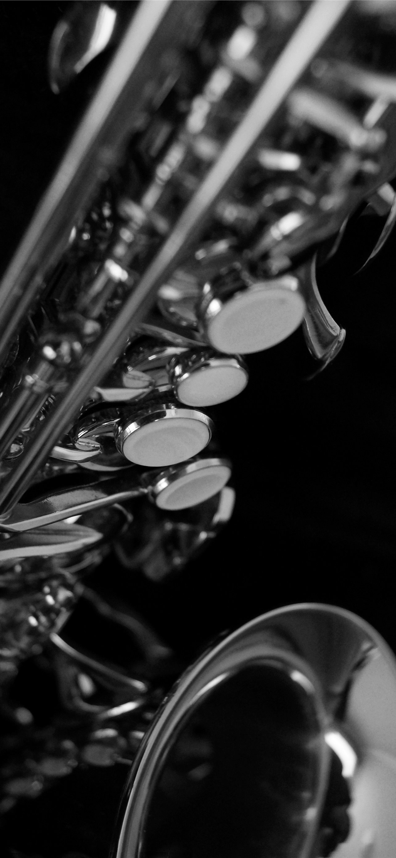 Saxophone: Flute, A woodwind instrument including soprano, alto, tenor, and baritone sizes. 1290x2780 HD Wallpaper.