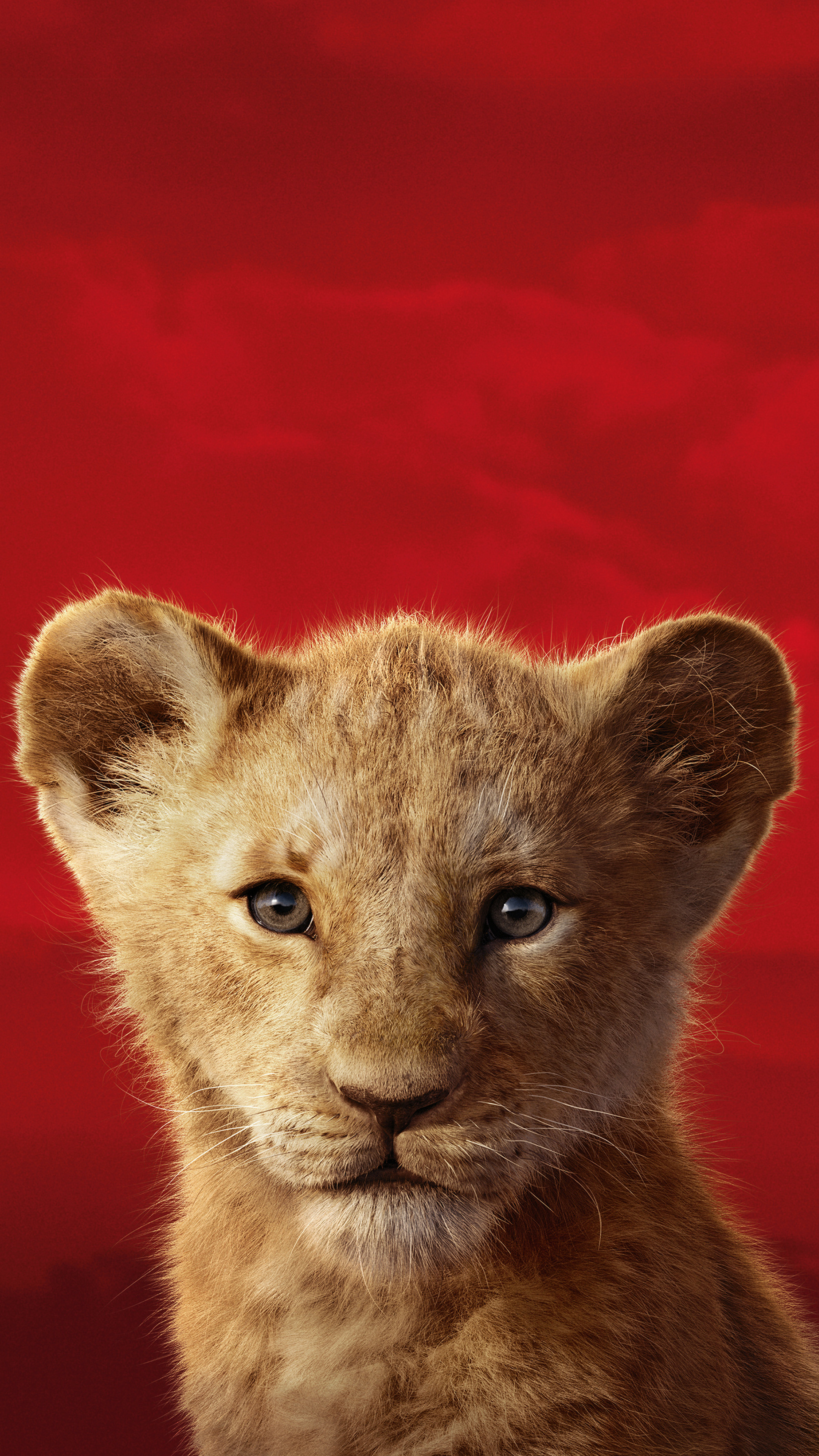 The Lion King, Magnificent 5K resolution, Sony Xperia X, Majestic visuals, 2160x3840 4K Phone