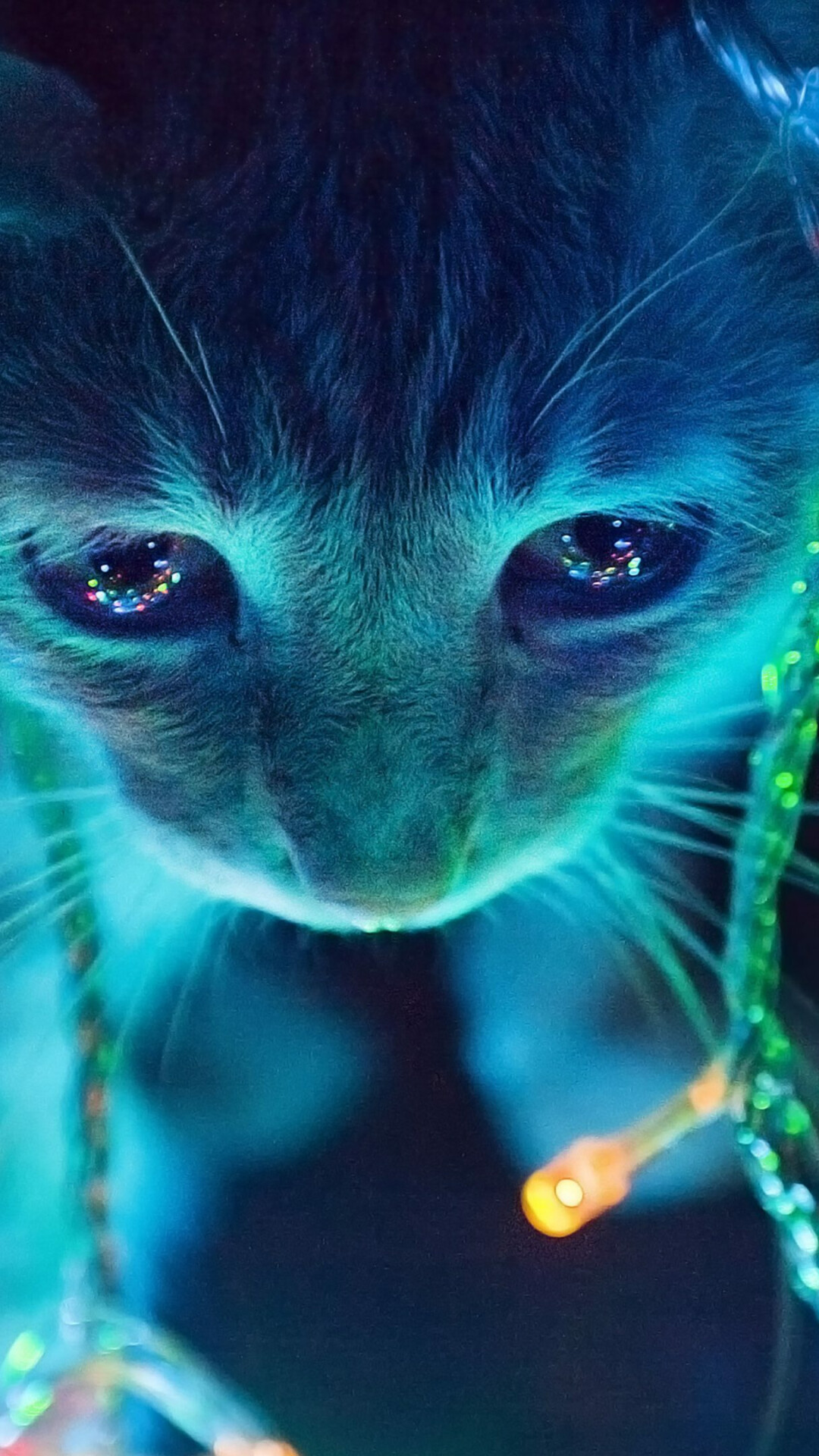 Cute cat in blue lights, Stunning colors, Mesmerizing glow, Dreamy atmosphere, 1080x1920 Full HD Phone