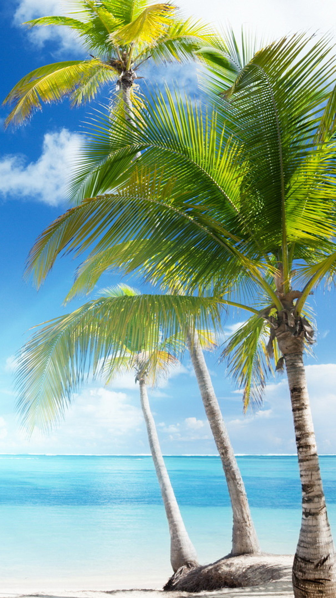 Tonga travels, Palm tree island, Popular backgrounds, Tropical paradise, 1080x1920 Full HD Phone