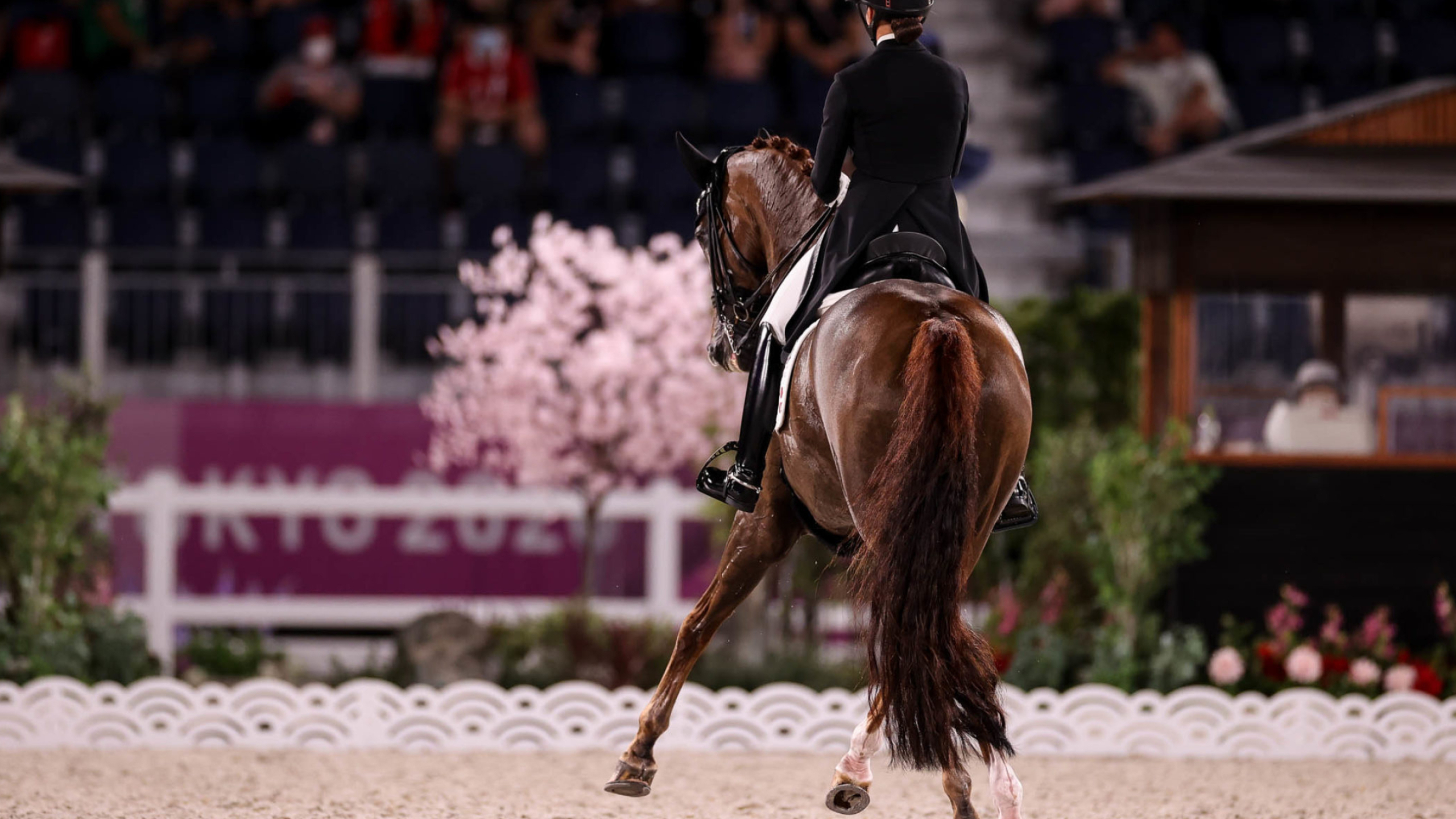 Dressage: Cathrine Dufour And Bohemian, The first choice for Danish Olympic team in Tokyo, 2020. 2560x1440 HD Background.