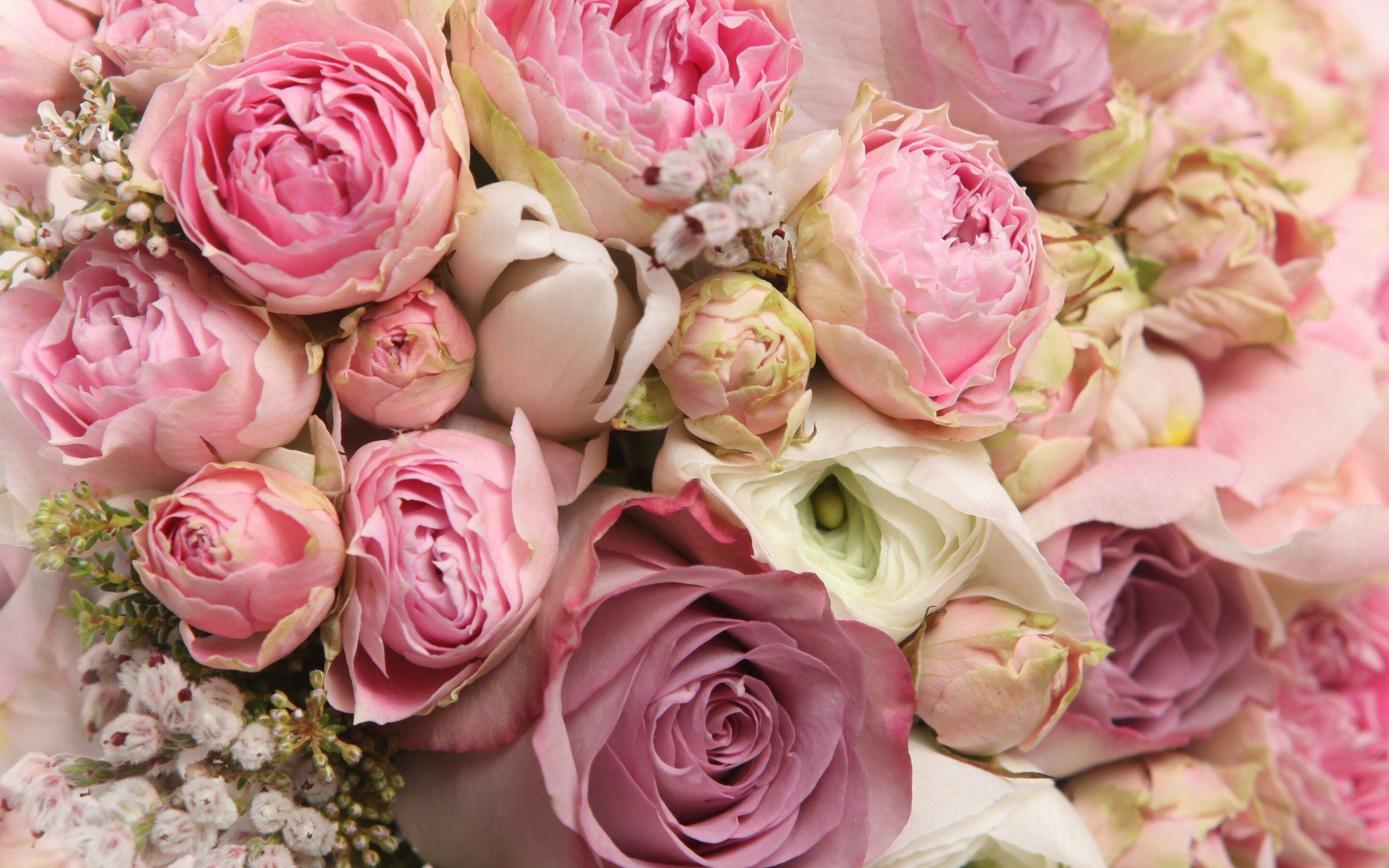 Flower Bouquet: Bunch of flowers, Hybrid tea rose. 2880x1800 HD Wallpaper.