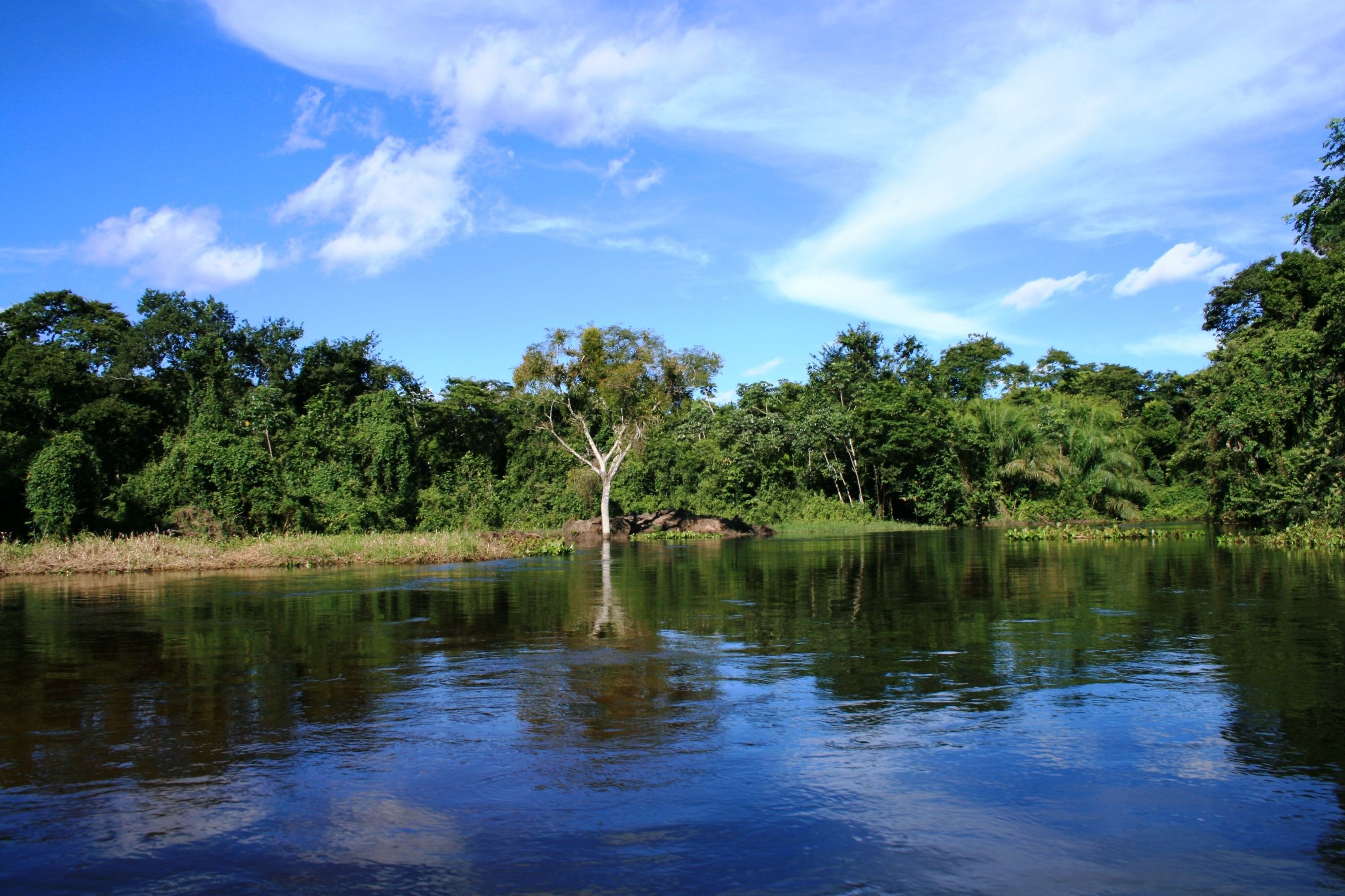 Pantanal Matogrossense, Sul mato grossense, Estive l em, Dezembro, 2730x1820 HD Desktop
