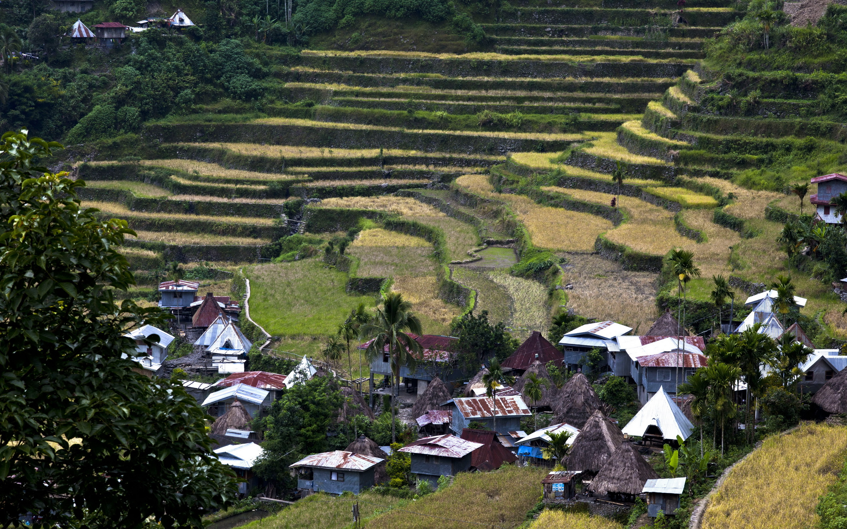 Banaue village, Traditional houses, Batad rice terraces, Ifugao province, 2740x1710 HD Desktop