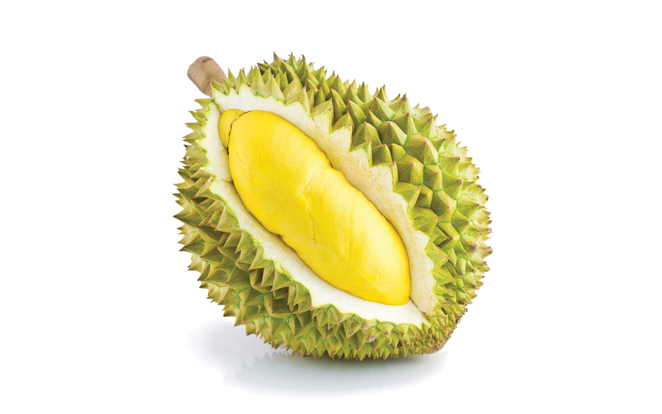 Durian: Shell covered with stout spines and contains five oval compartments. 2560x1600 HD Background.
