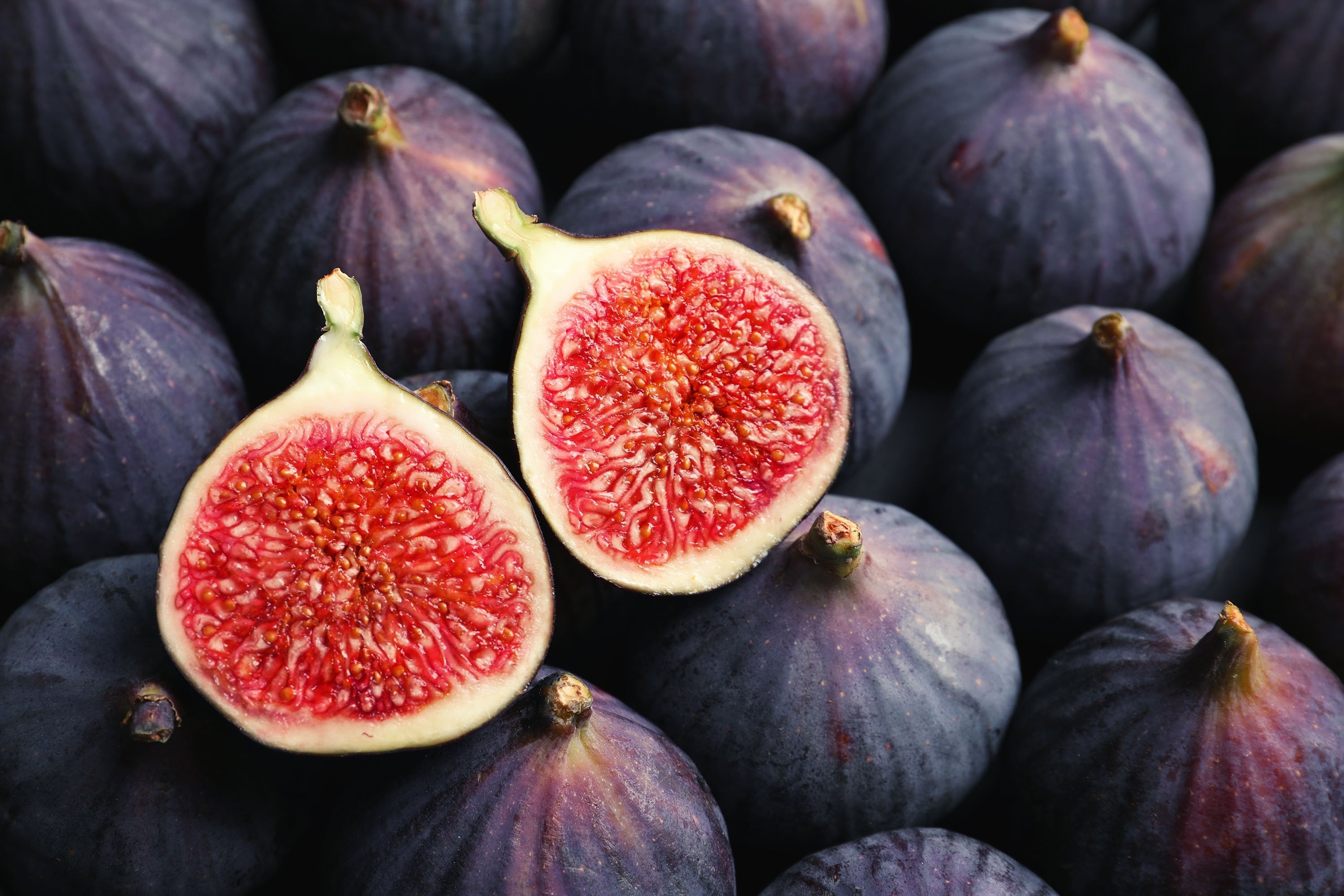 Fig: Native to the Mediterranean region, together with western and southern Asia. 3000x2000 HD Wallpaper.