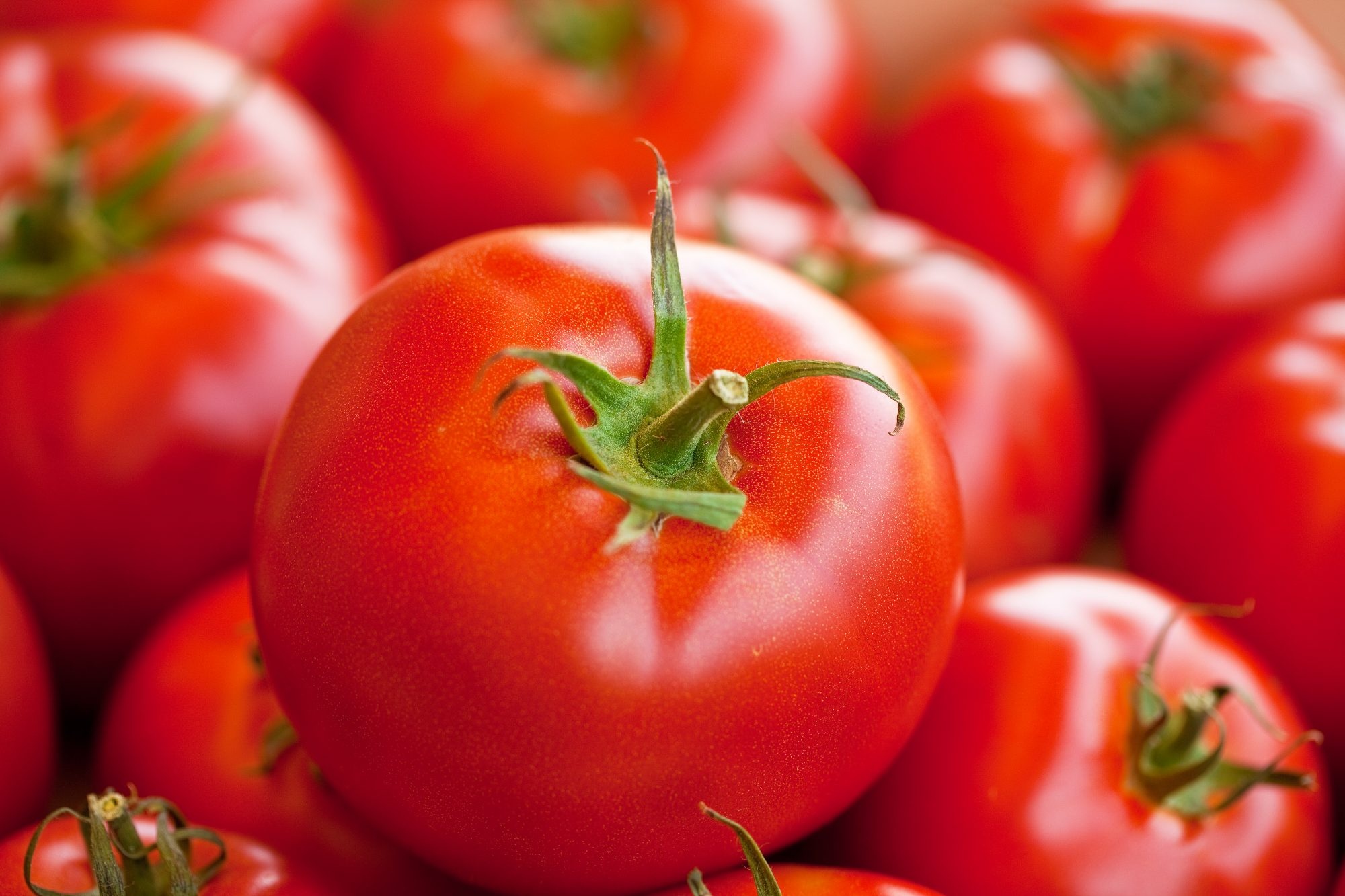 Tomato fruit, Vegetable debate, MyRecipes, Plant classification, 2000x1340 HD Desktop