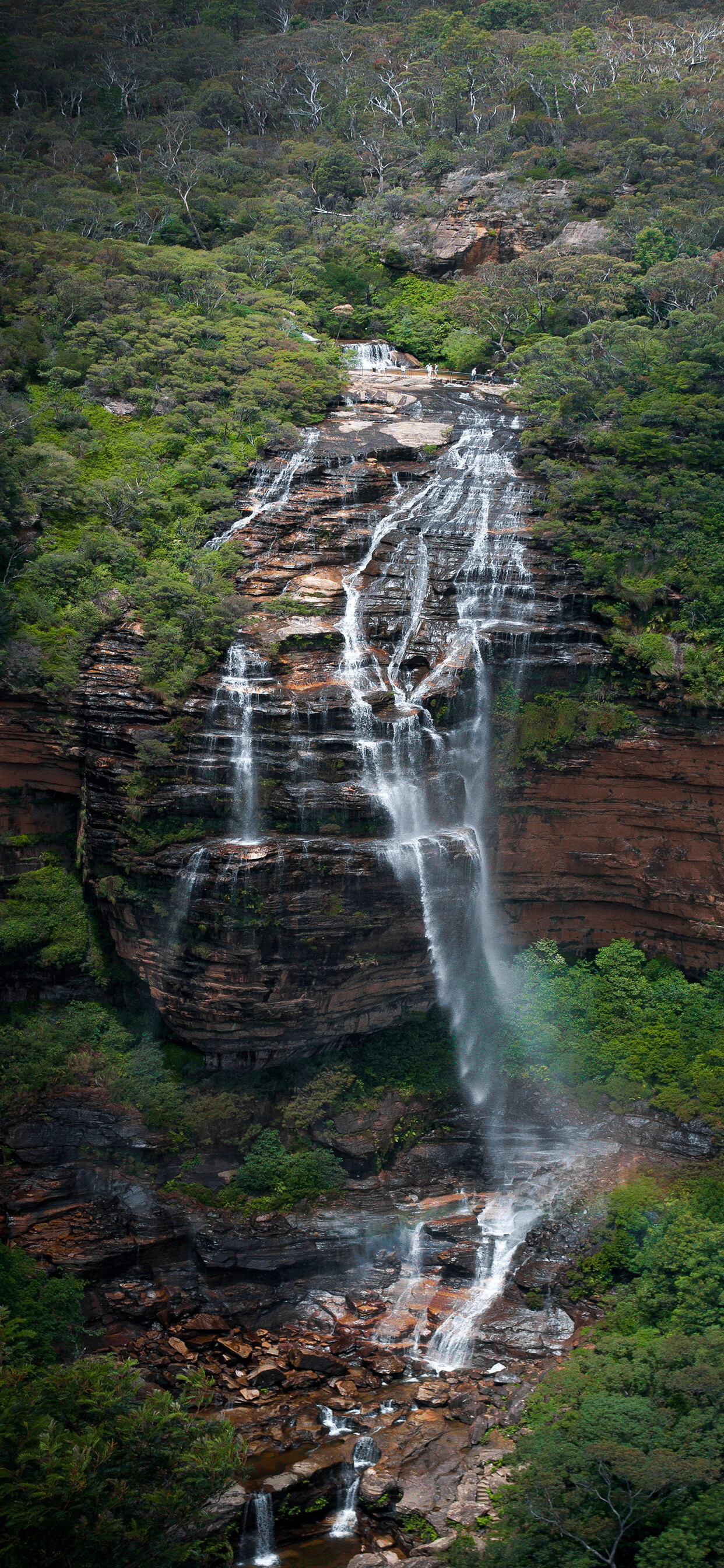 Australia: The country known for Aboriginal culture, cute koalas, lush rainforests. 1250x2690 HD Wallpaper.