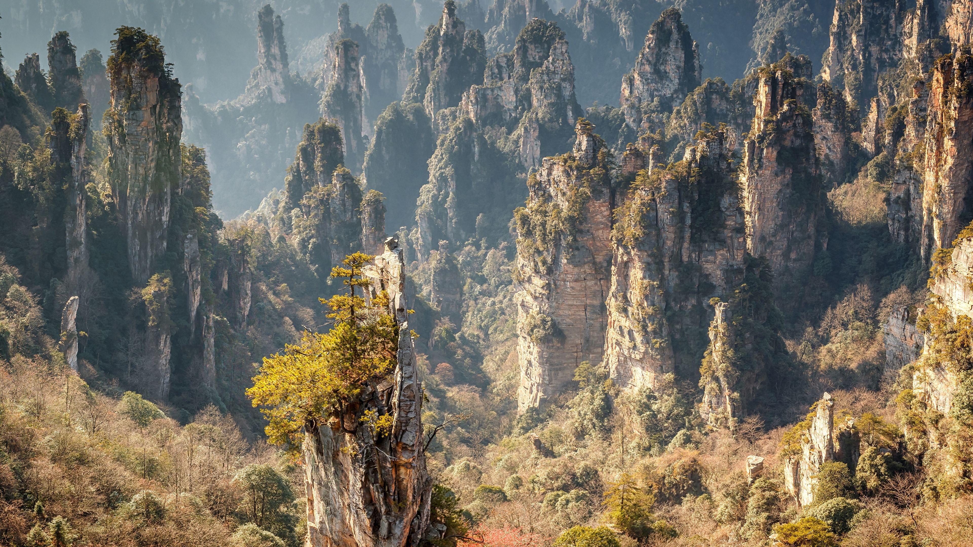 Zhangjiajie National Forest Park, 3840 x 2160 forest wallpapers, Stunning backgrounds, 3840x2160 4K Desktop