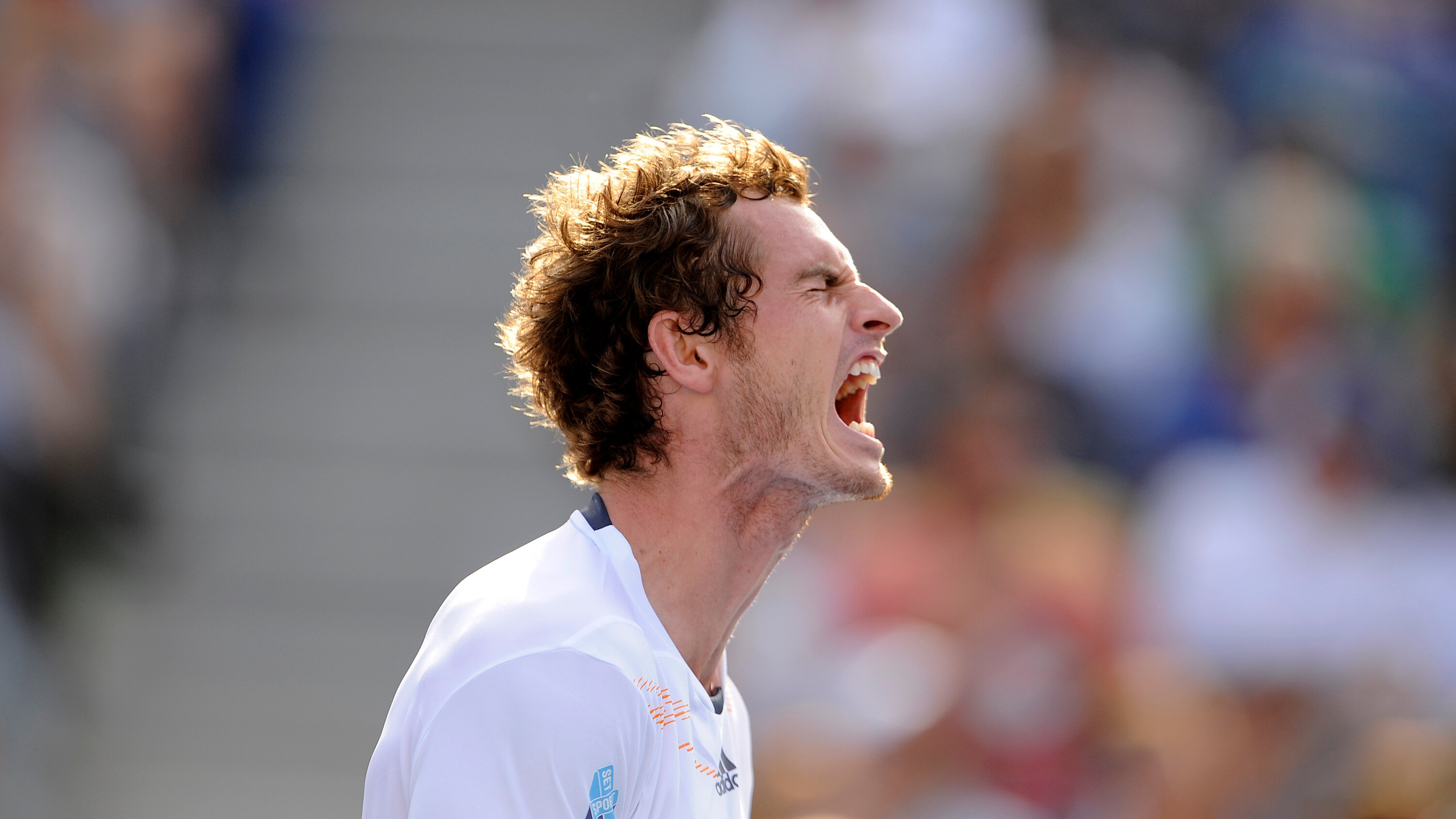 Andy Murray, Measured voice, Illustrious career, New York Times feature, 3000x1690 HD Desktop
