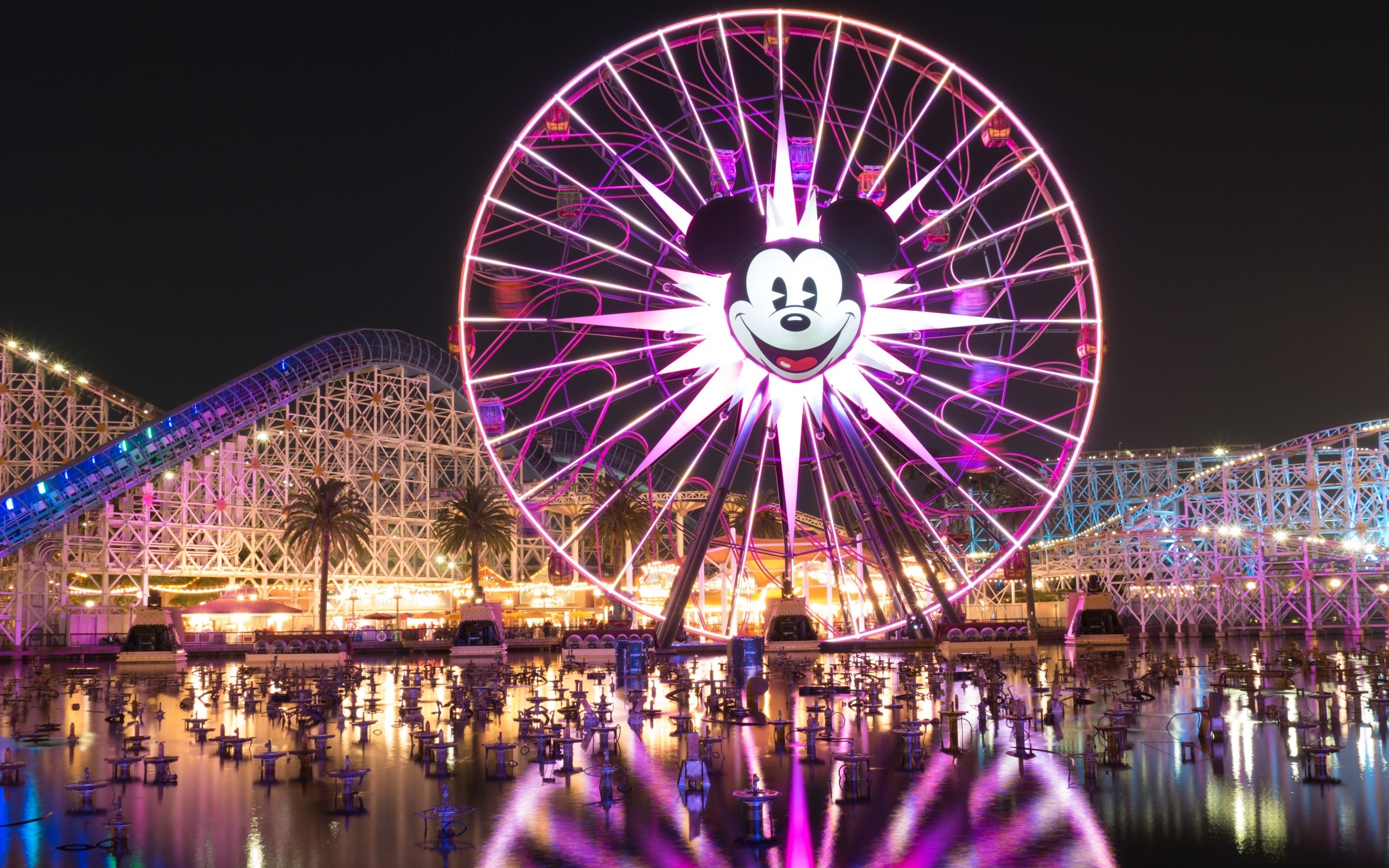 Amusement Park: Disneyland, Fountain, Ferris wheel, Roller coaster. 2560x1600 HD Background.